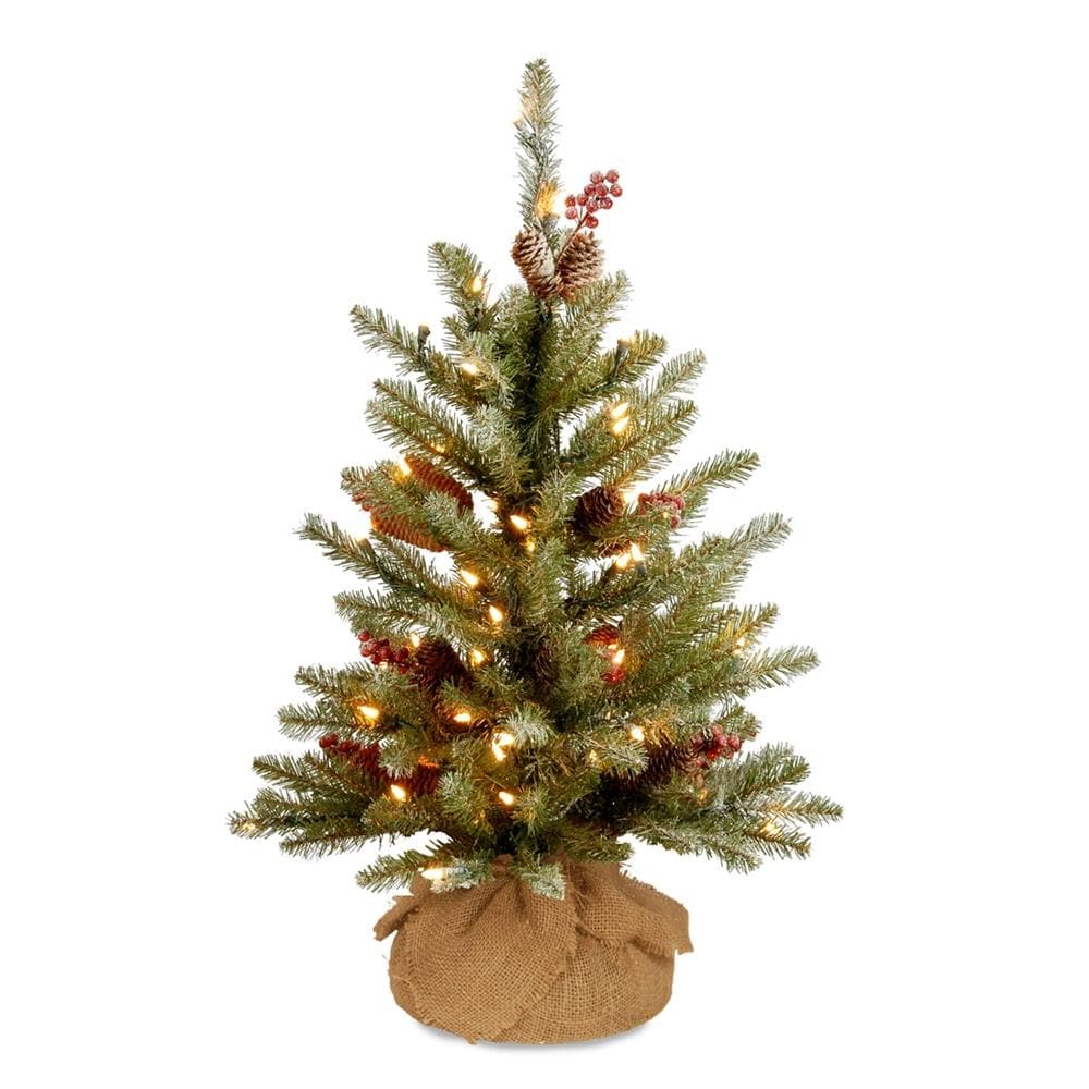 National Tree Company 3-ft Dunhill Fir Pre-lit Flocked Artificial ...