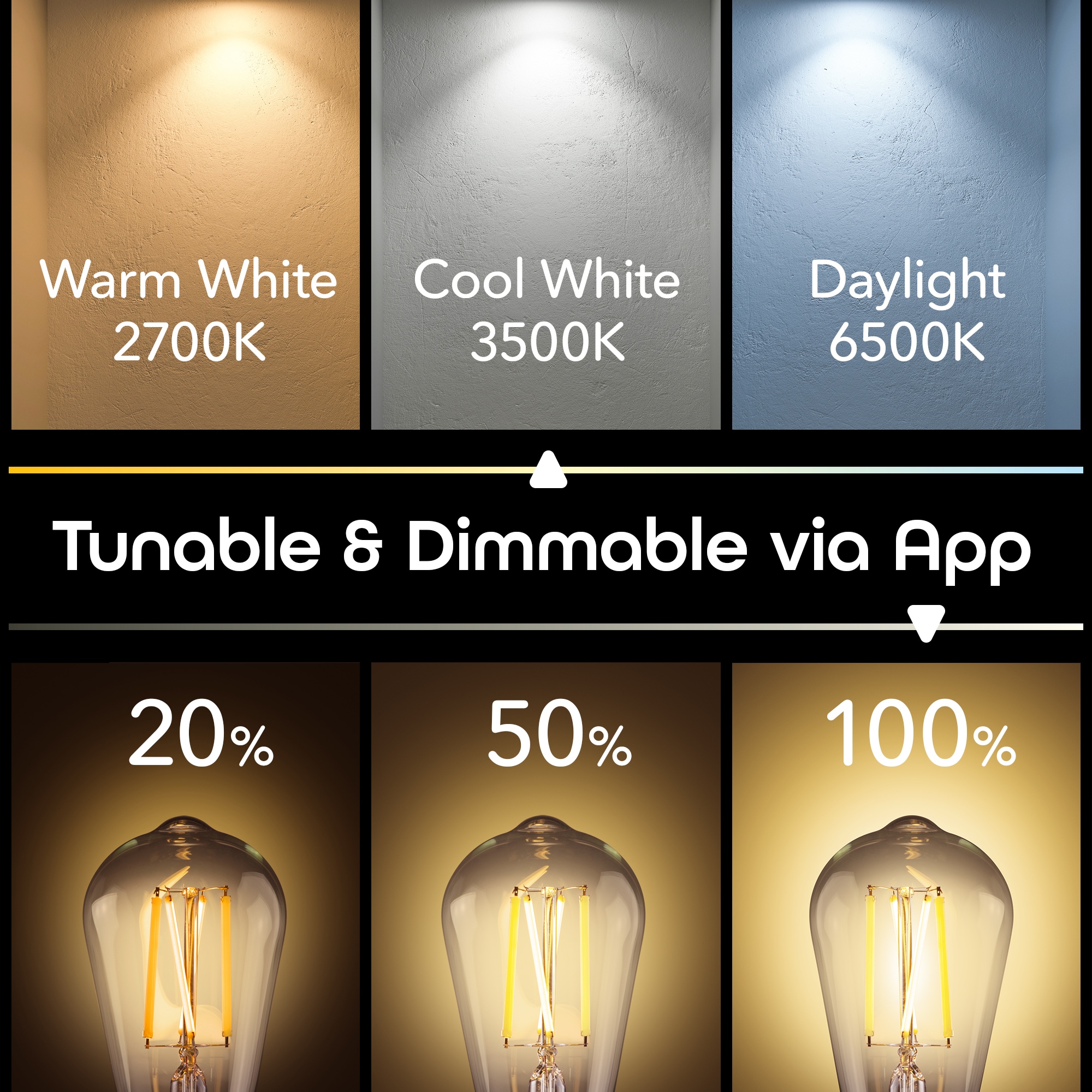 Geeni GN-BW231-999 Dec-Led-Light-Bulbs - View #4