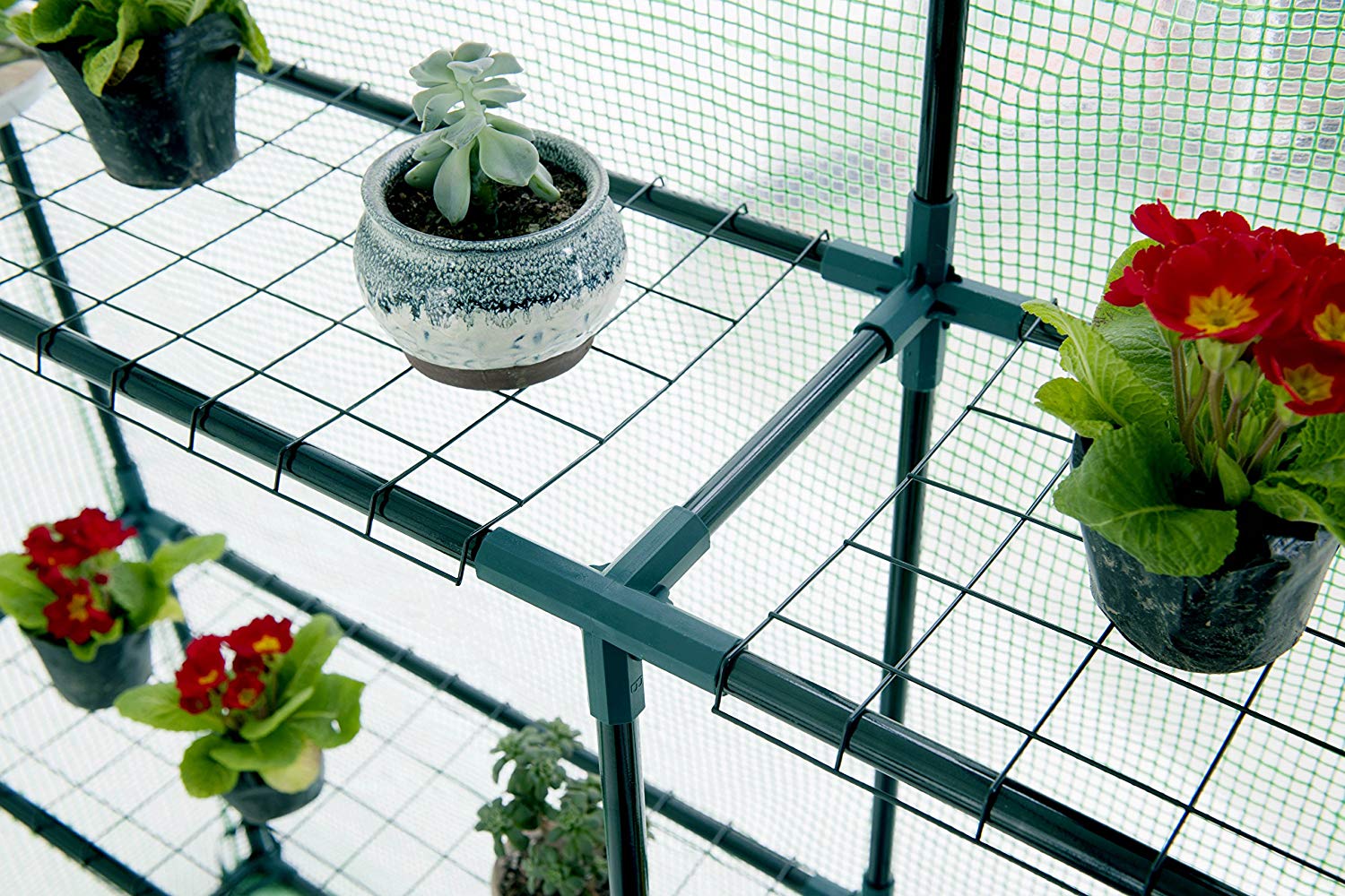 Genesis GEN-574-PE greenhouses - View #4