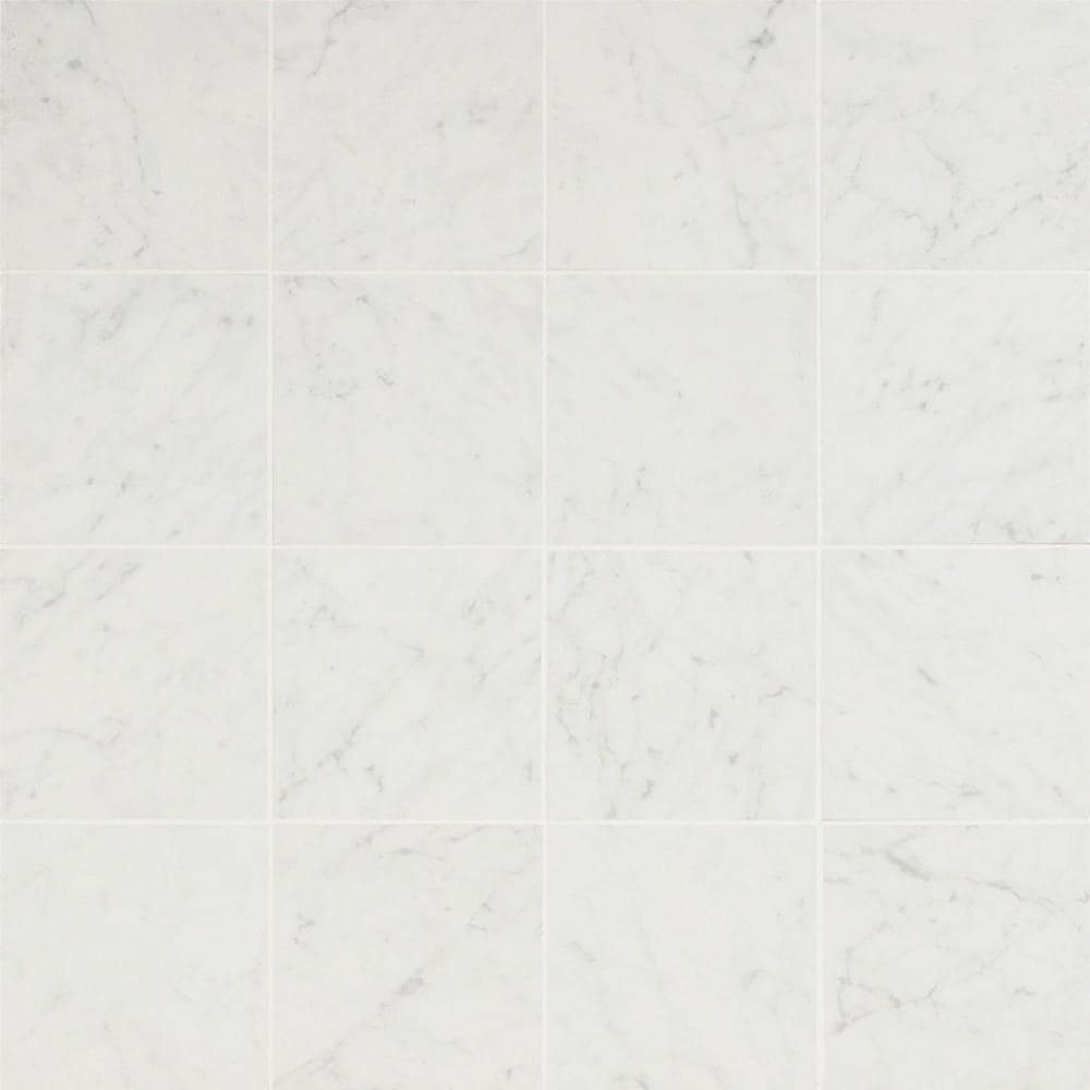 Artmore Tile EXT3RD101670 Grace Bianco 6-in x 6-in Matte Porcelain Marble look Large format Floor and Wall Tile ( 7.26-sq ft Carton )