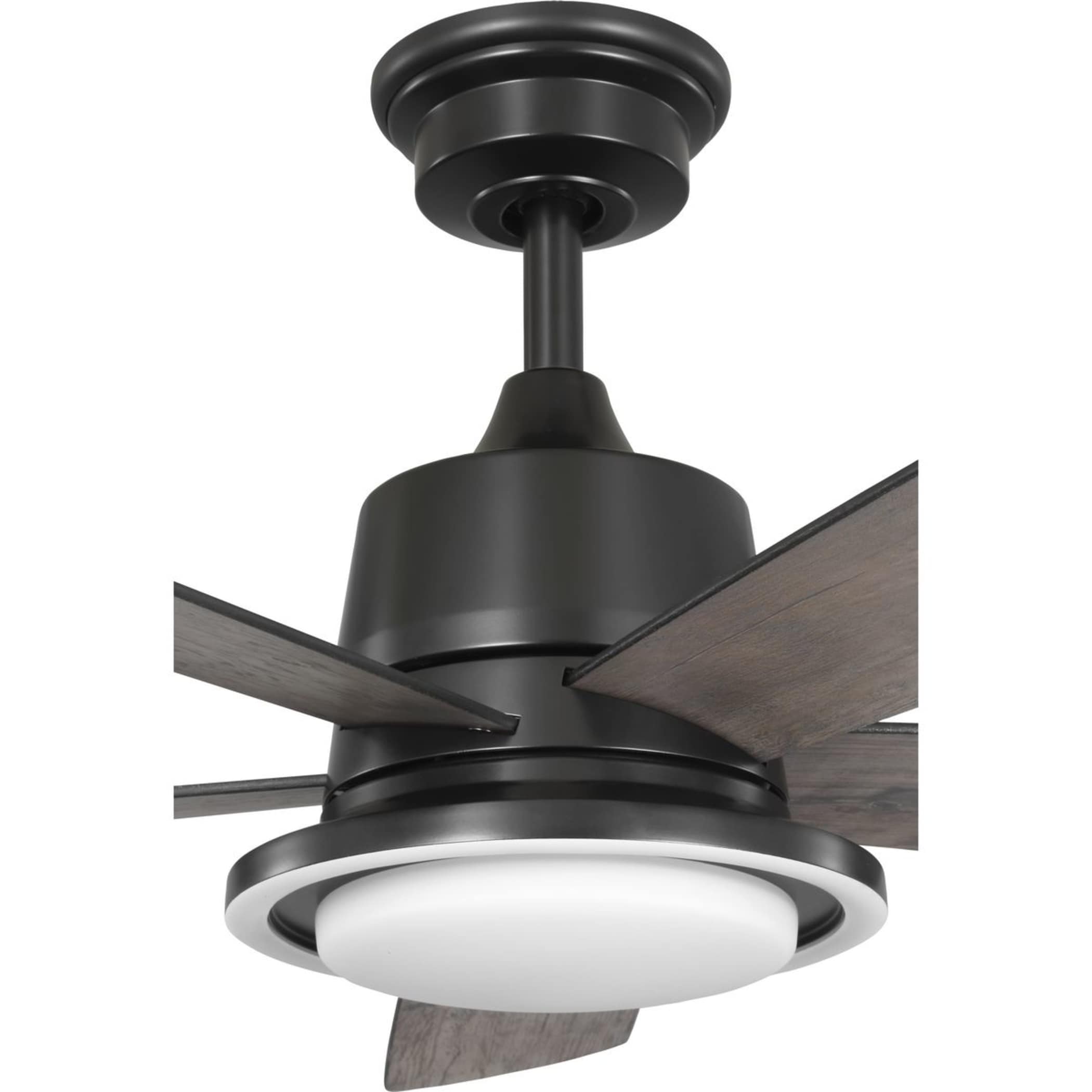 Progress Lighting P250102-31M-CS Ceiling-Fans - View #11