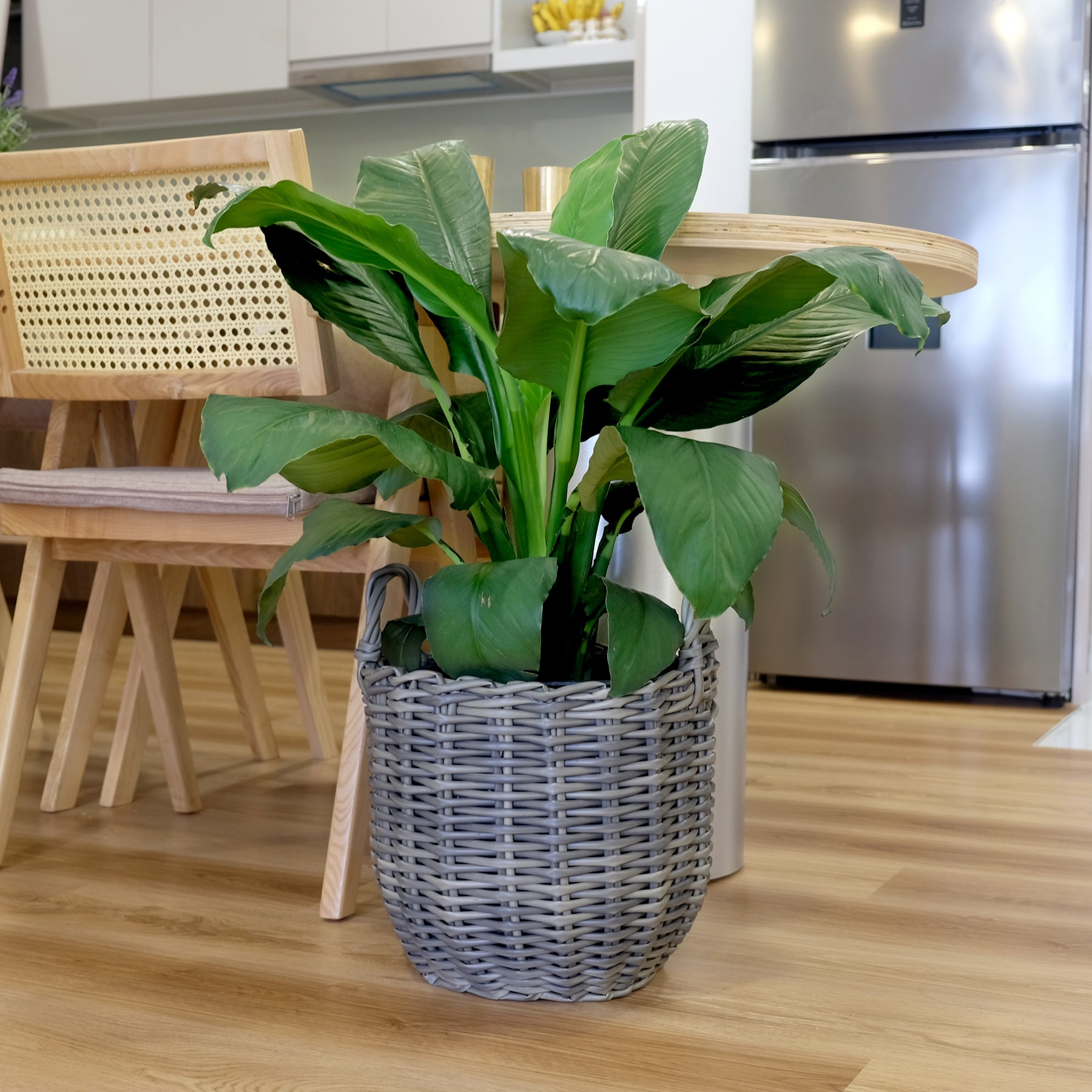Kahomvis DTY-QPB0-686 Planter-Window-Box - View #4