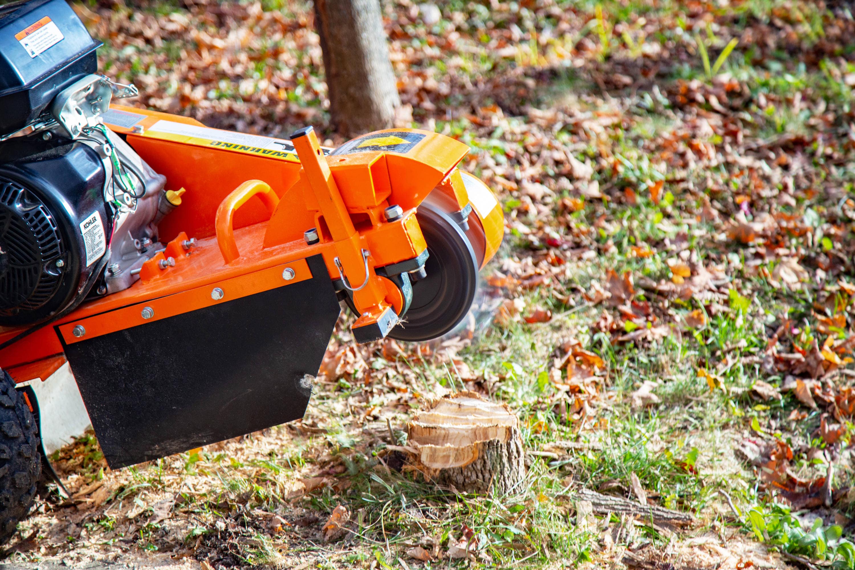 tree stump grinder rental lowes
