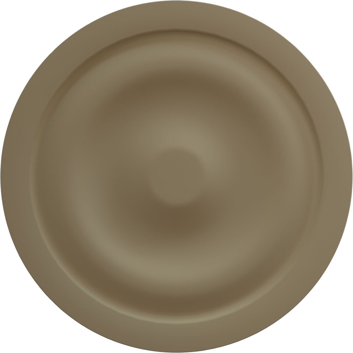 Ekena Millwork CM20BLRGS Ceiling-Medallions - View #4