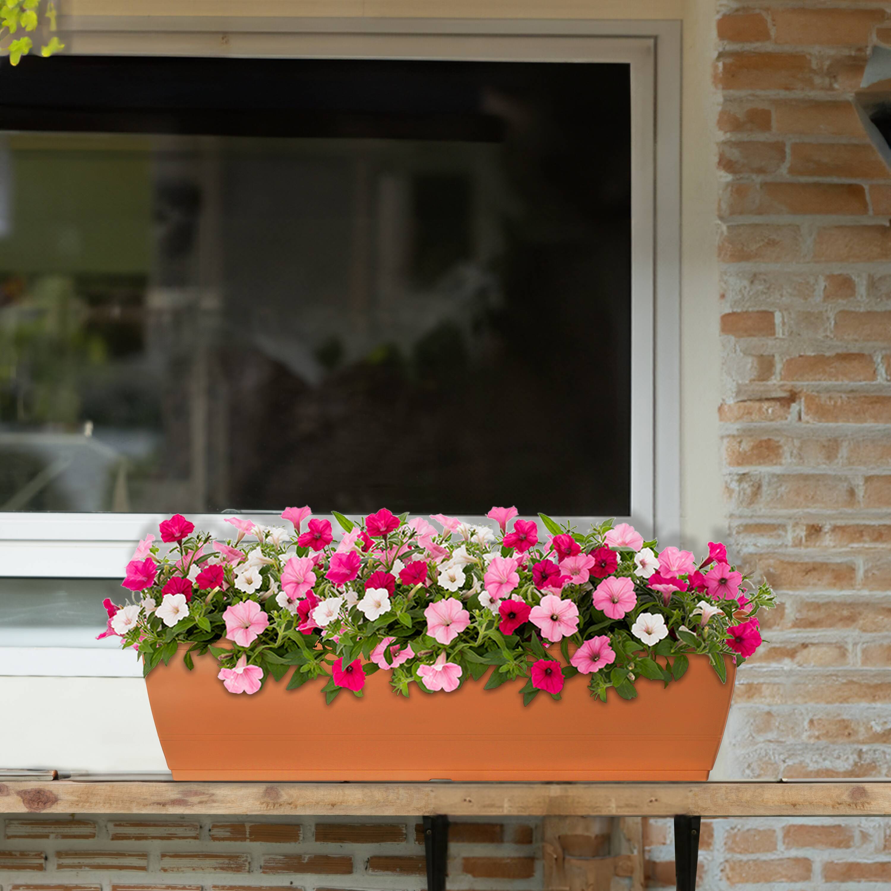 Style Selections WB2132G-CLAY Planter-Window-Box - View #5
