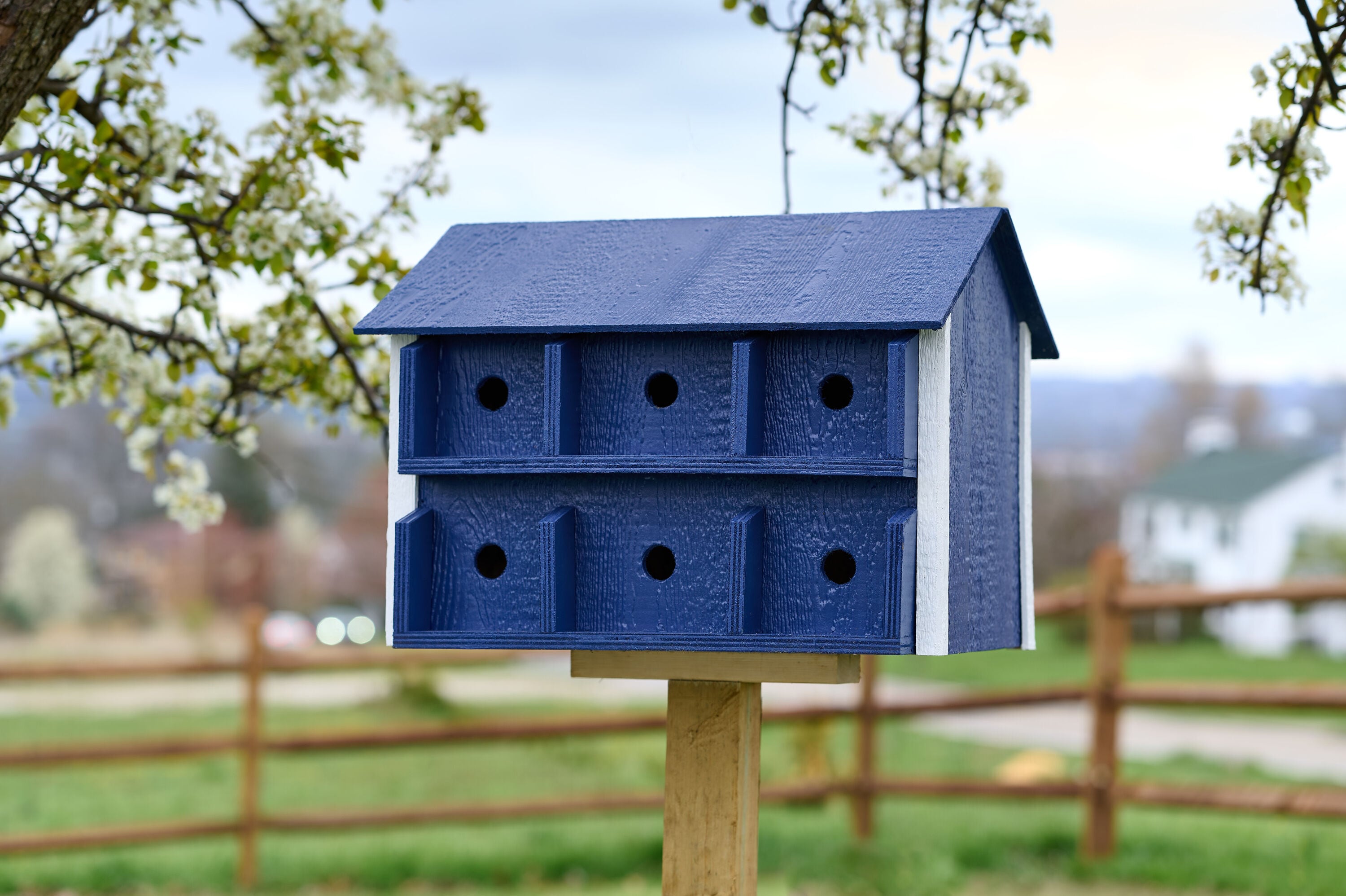 LP 46621 Cat-Wood-Siding - View #4