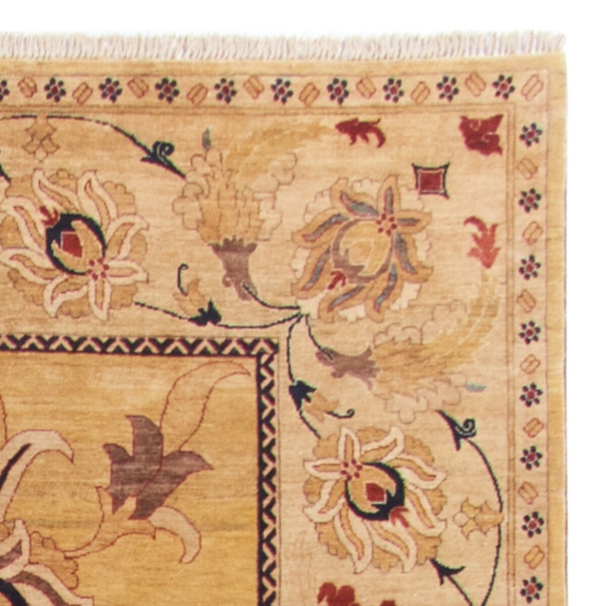 Safavieh P158E-1420  - View #5