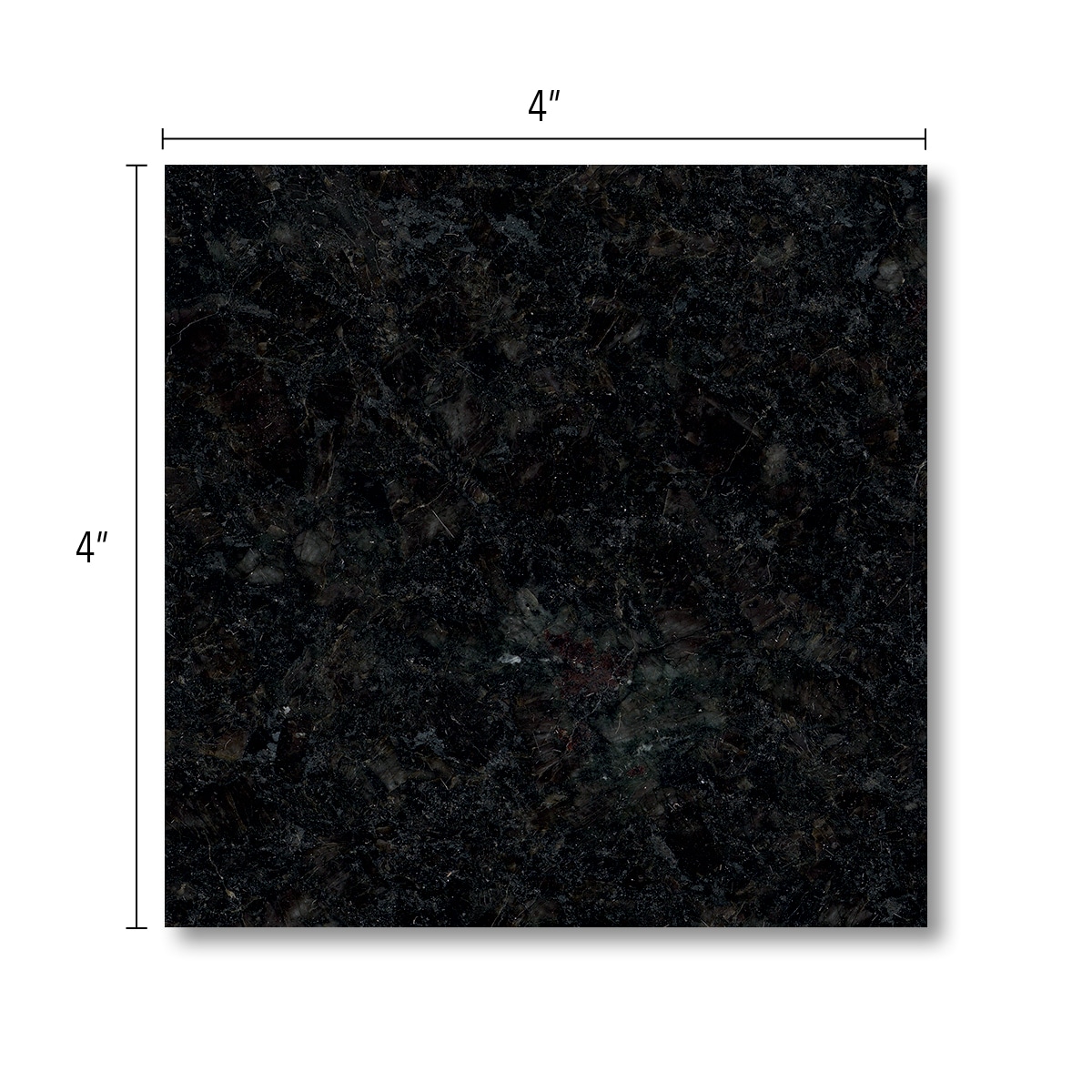 allen + roth Emerald Ridge Granite Black Kitchen Countertop SAMPLE (4-in x  4-in) at
