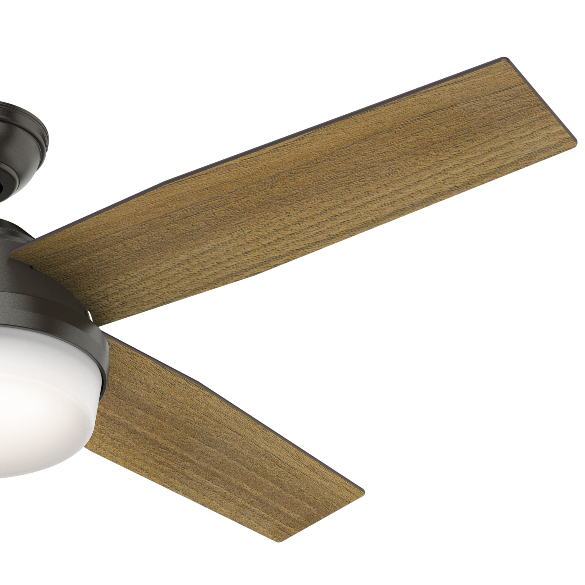 Hunter 59446 Ceiling-Fans - View #4