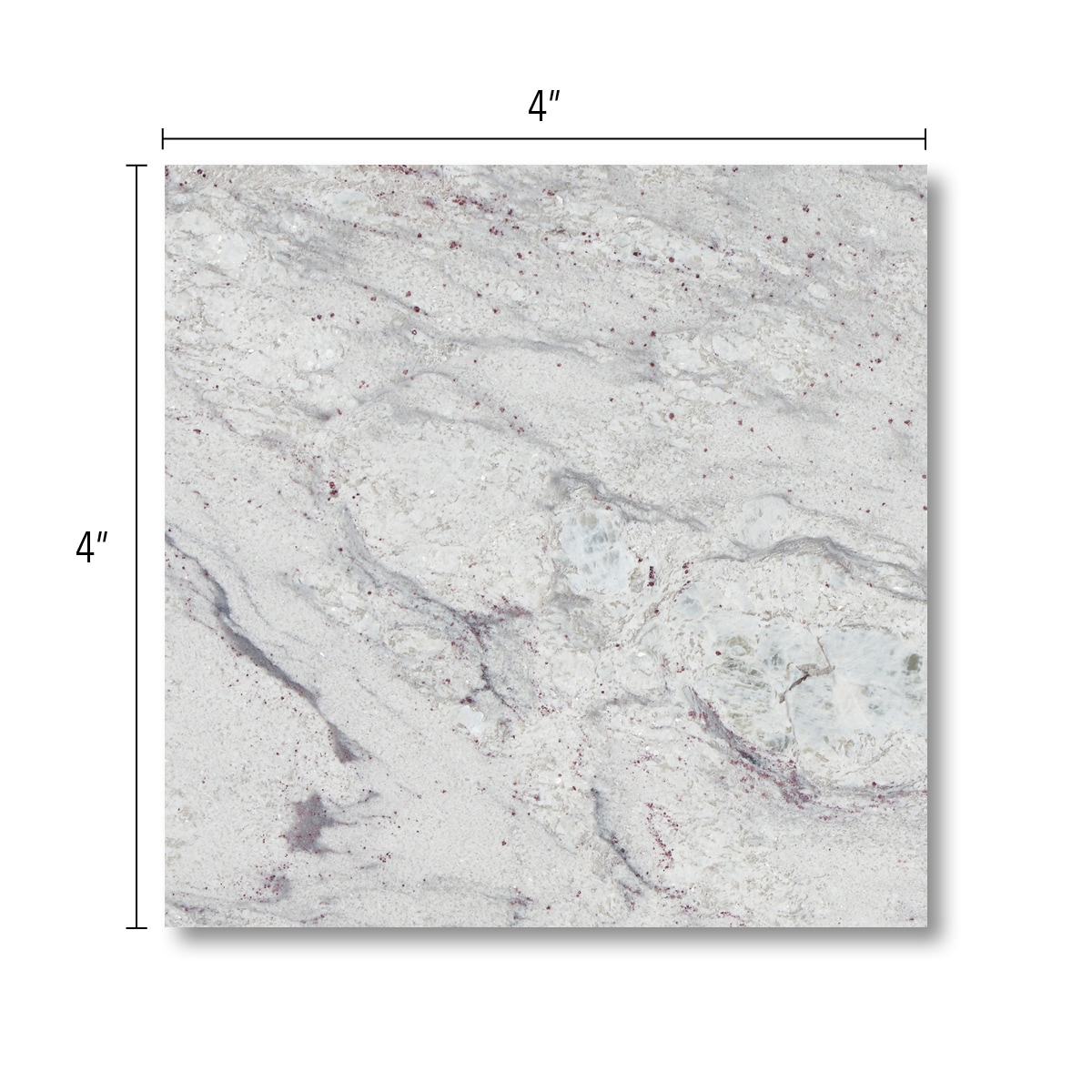 allen + roth Emerald Ridge Granite Black Kitchen Countertop SAMPLE (4-in x  4-in) at