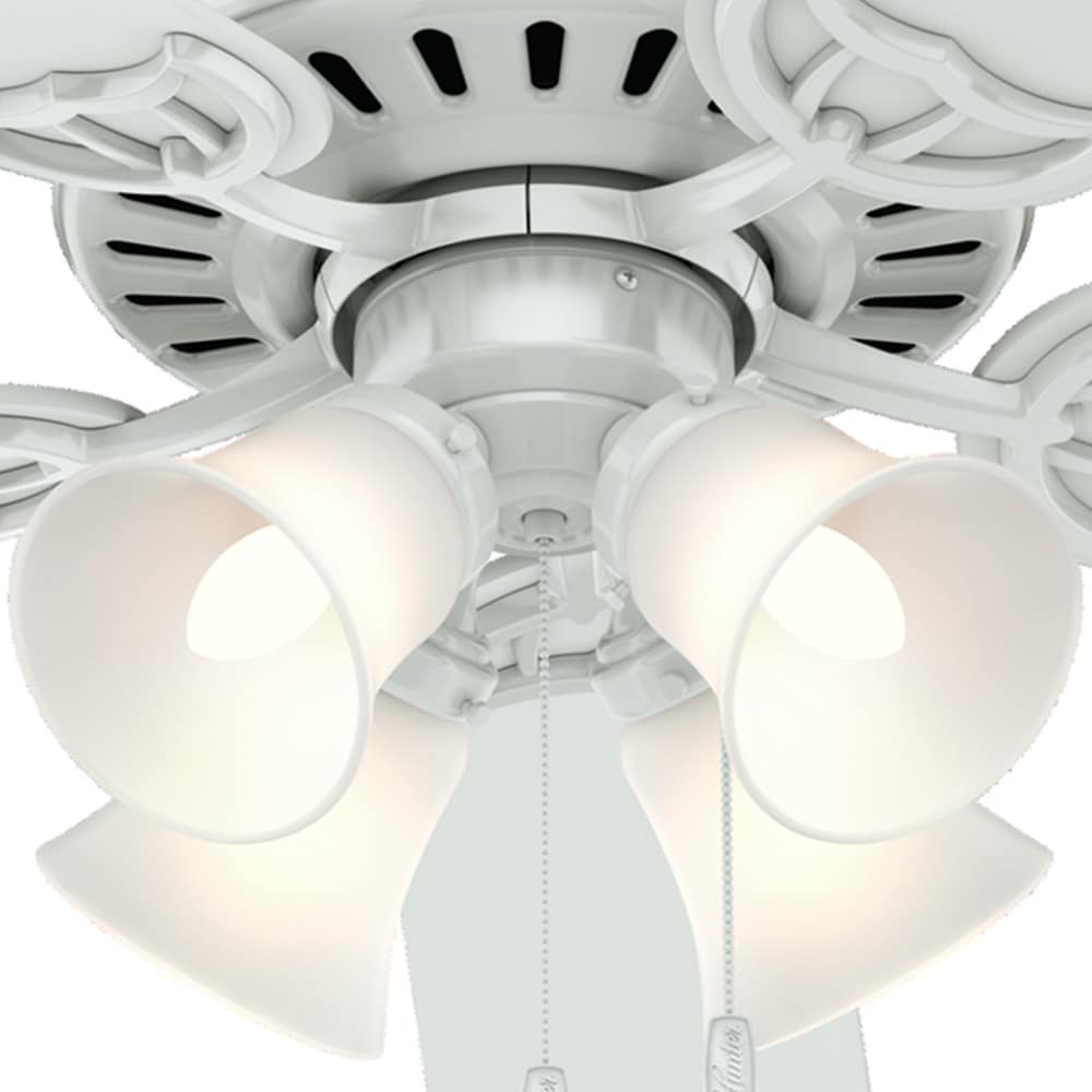 Hunter 53062 Ceiling-Fans - View #22