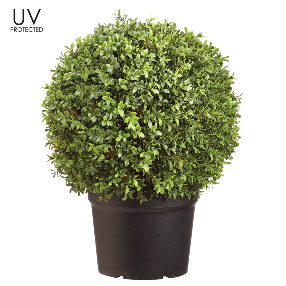 Allstate Floral LPB300-GR 22-in Green Indoor/Outdoor Floor Boxwood Artificial plant
