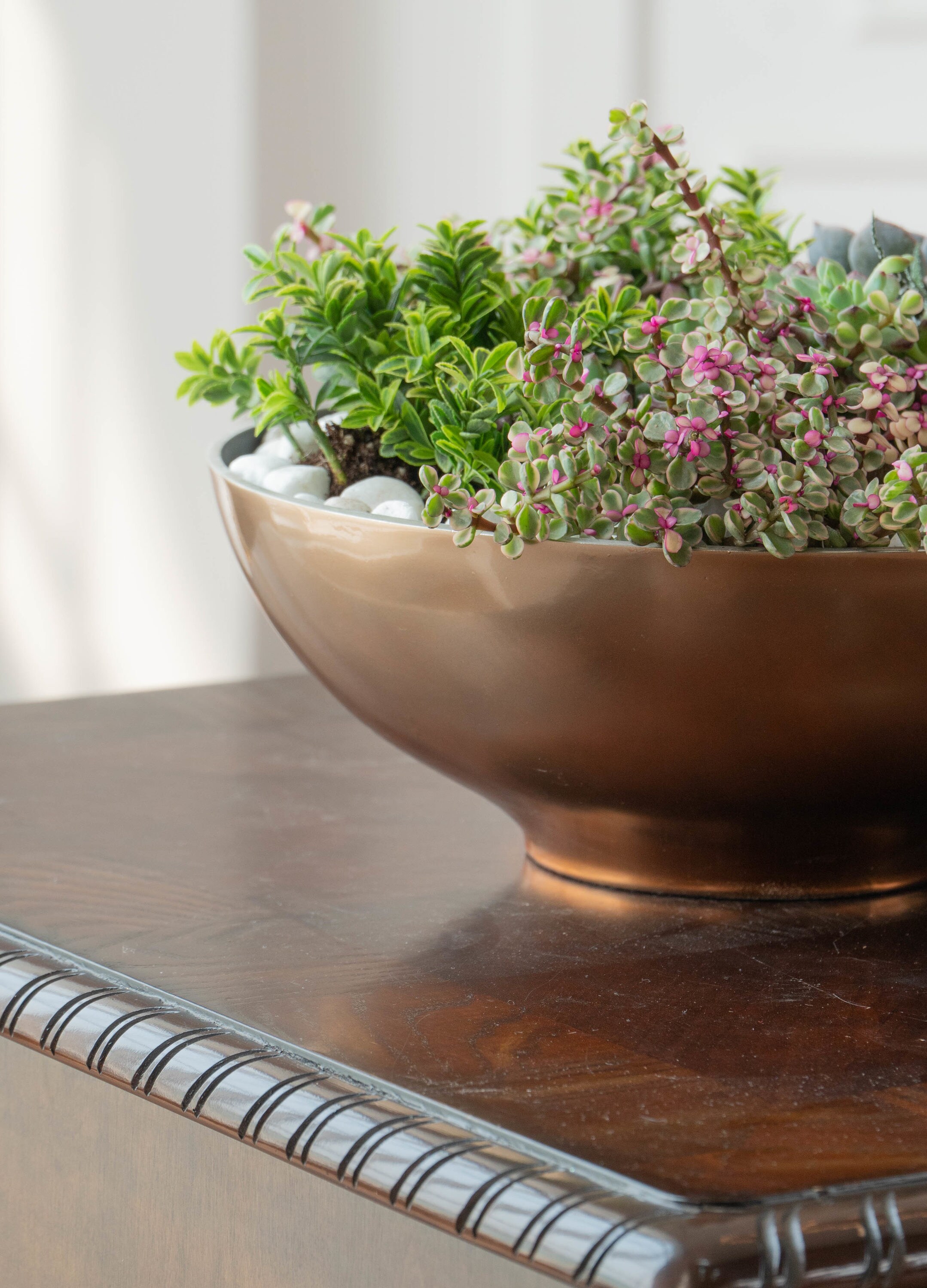 Vasesource APOLLO4SCO Planter-Window-Box - View #4