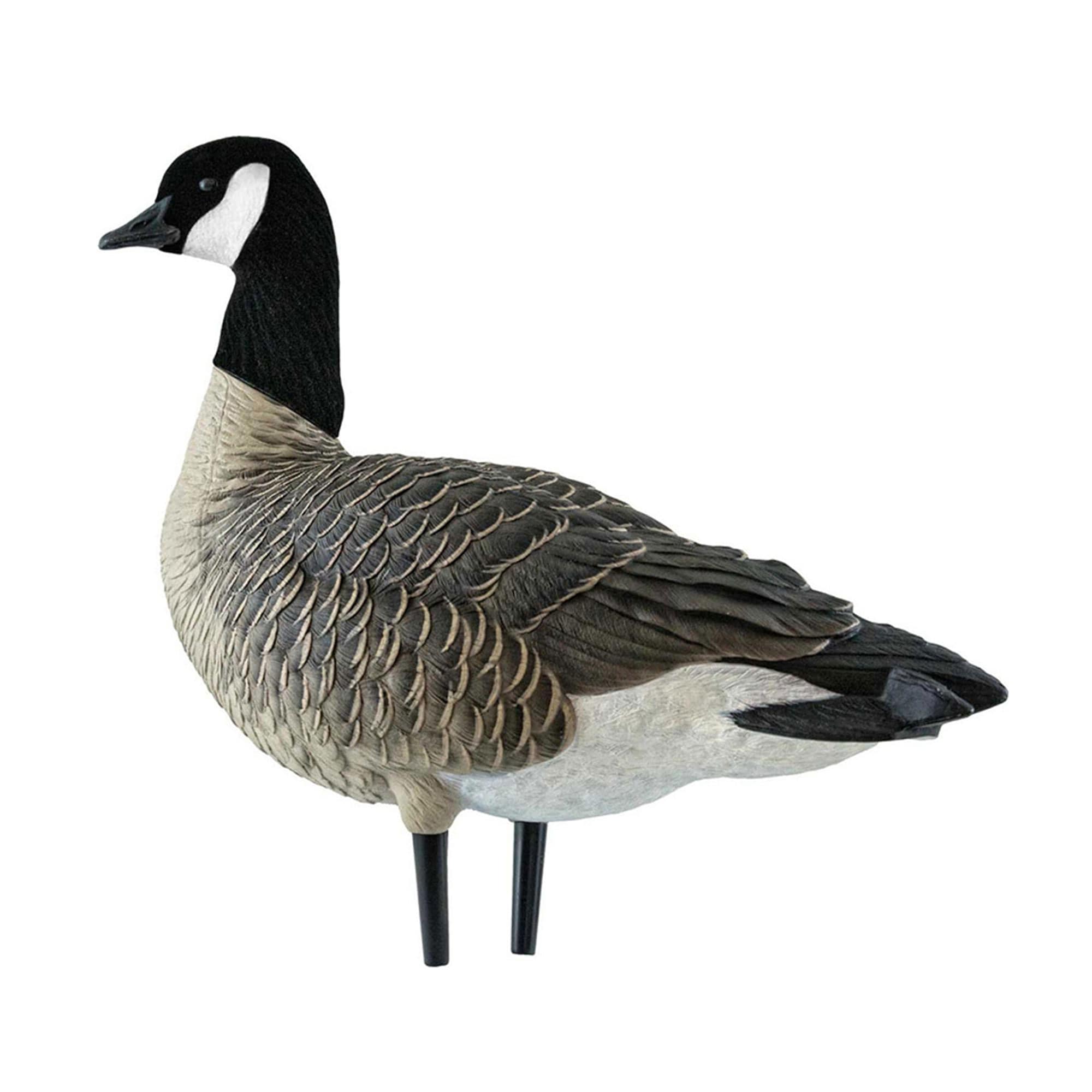  Avian X 399283 Hunting-Equipment - View #9