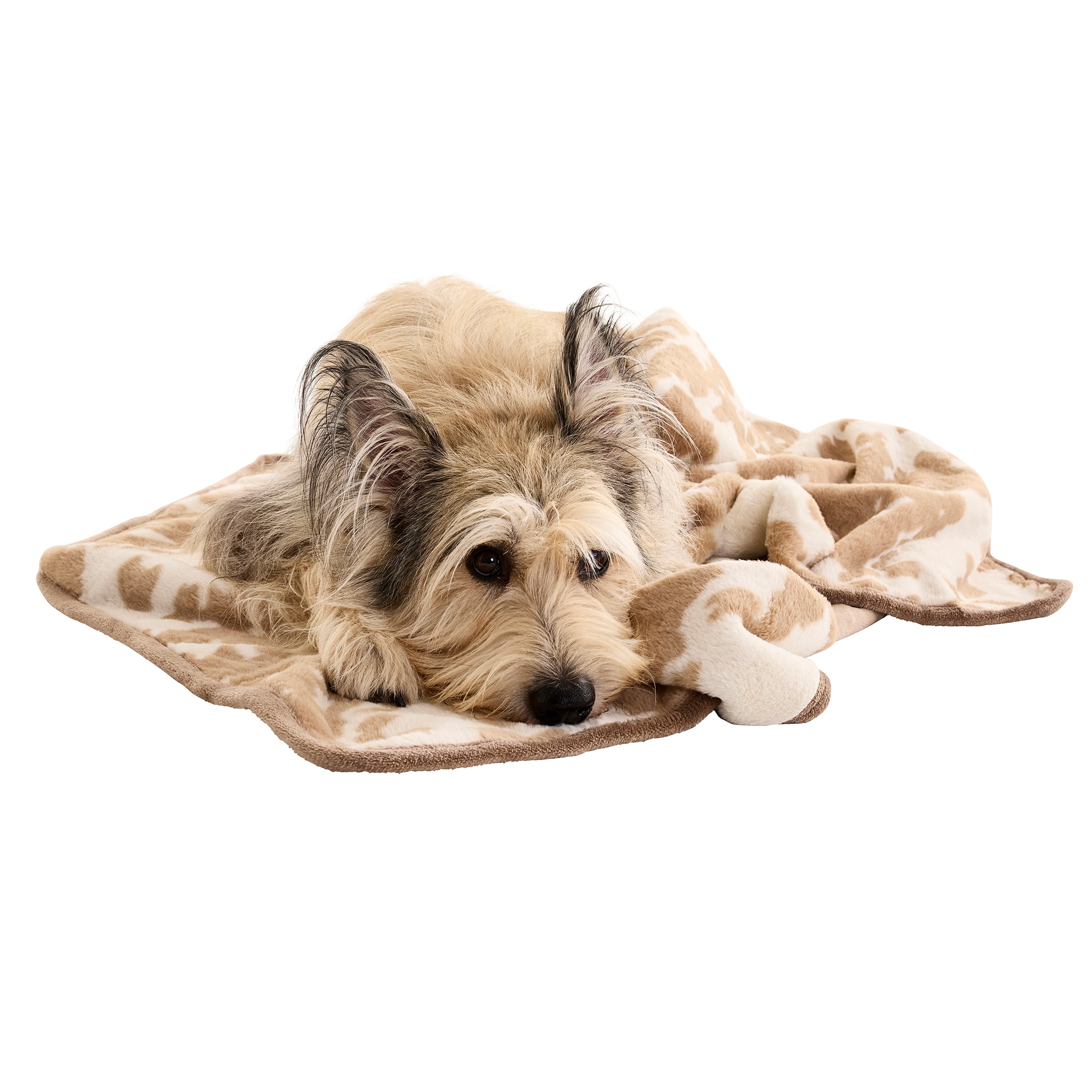 Style Selections FBKT252-LGBRN01 Outdoor-Kennel-Accessories - View #7