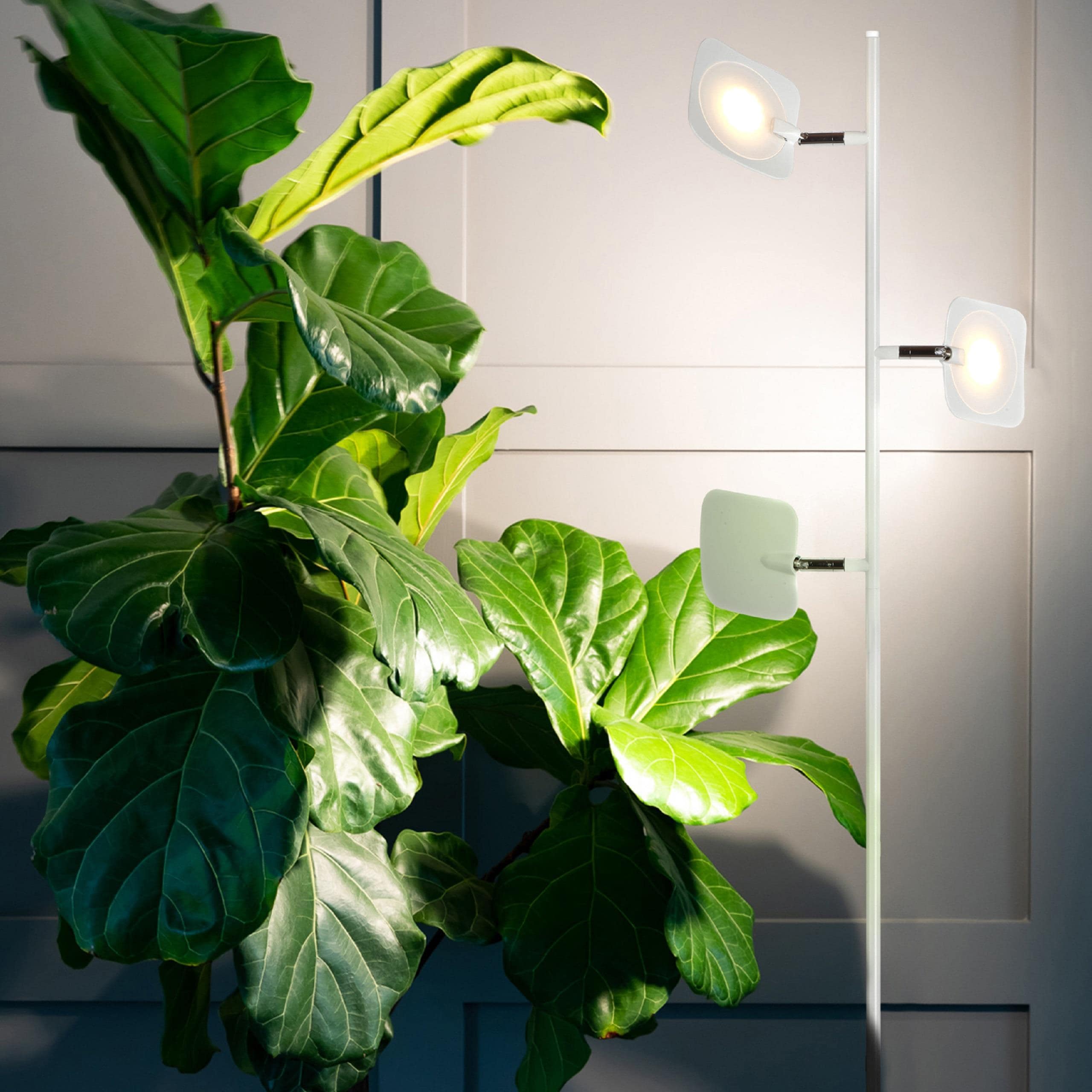 Brightech T6-TSKS-2W0G floorlamps - View #6