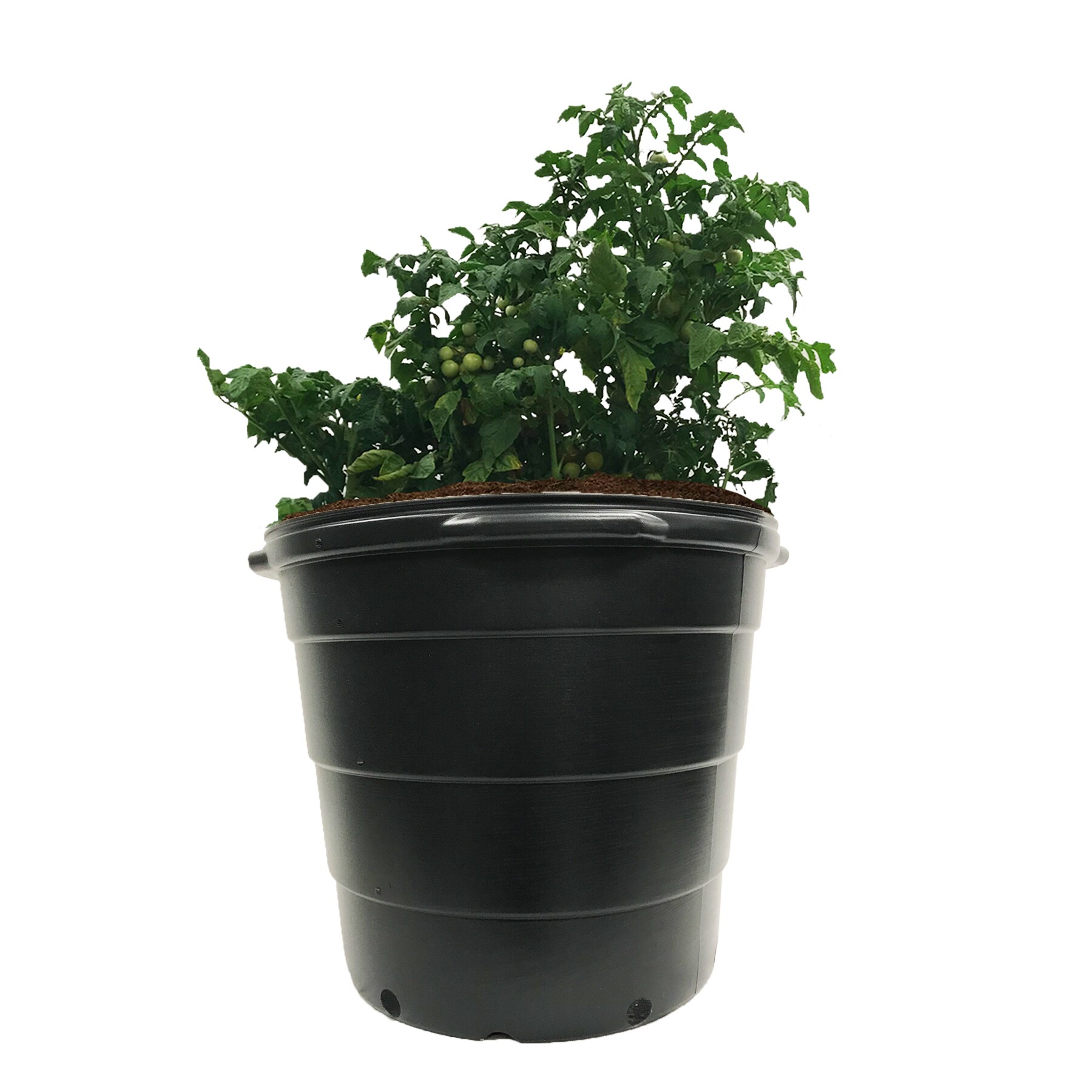 Viagrow VHPP2000-5 Planter-Window-Box - View #5