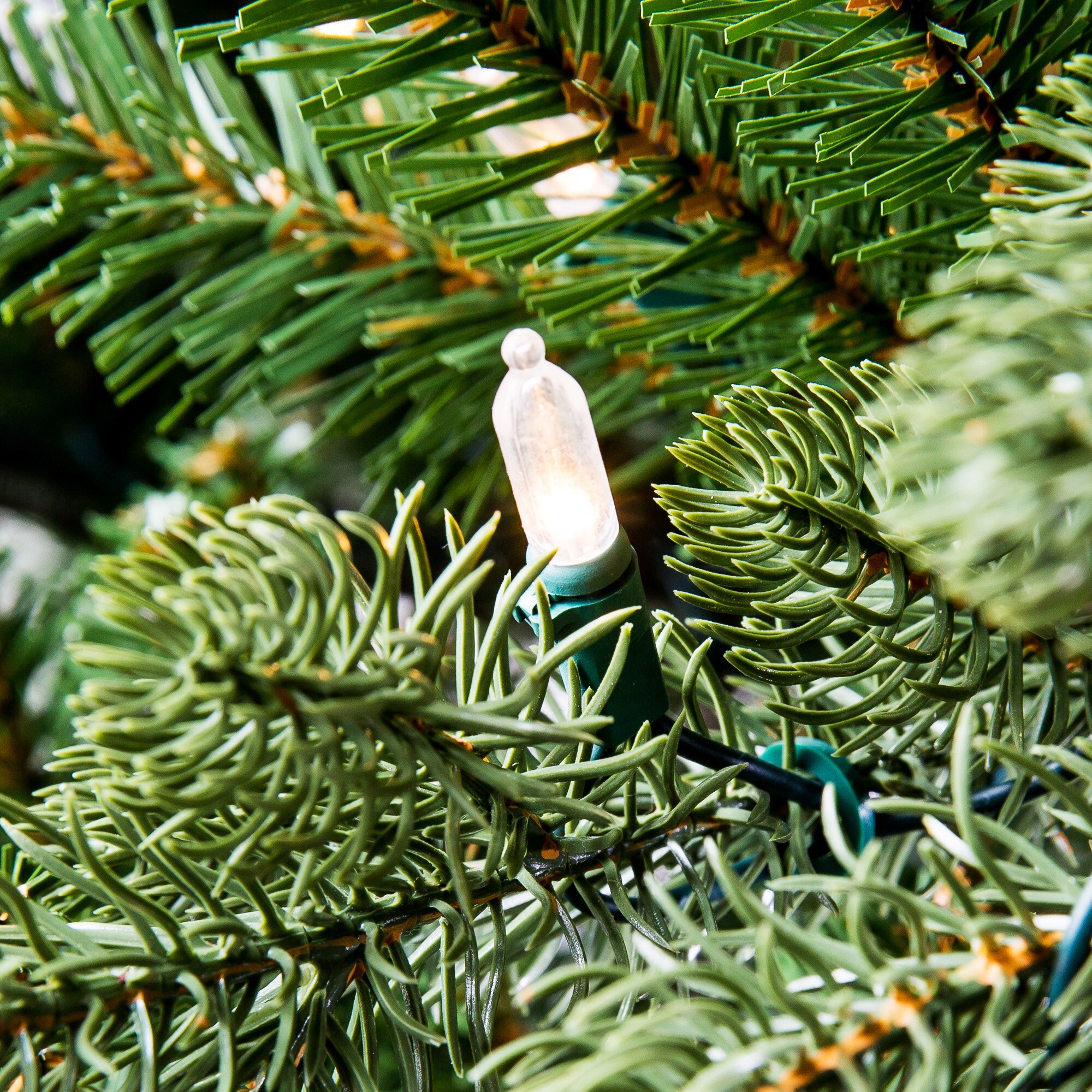 Holiday Living W14L0486  - View #5