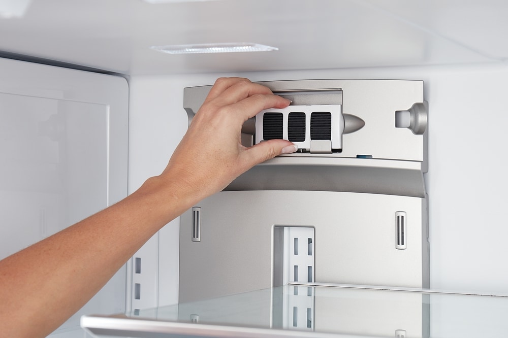 PureAir® Replacement Refrigerator Air Filter RAF-2™