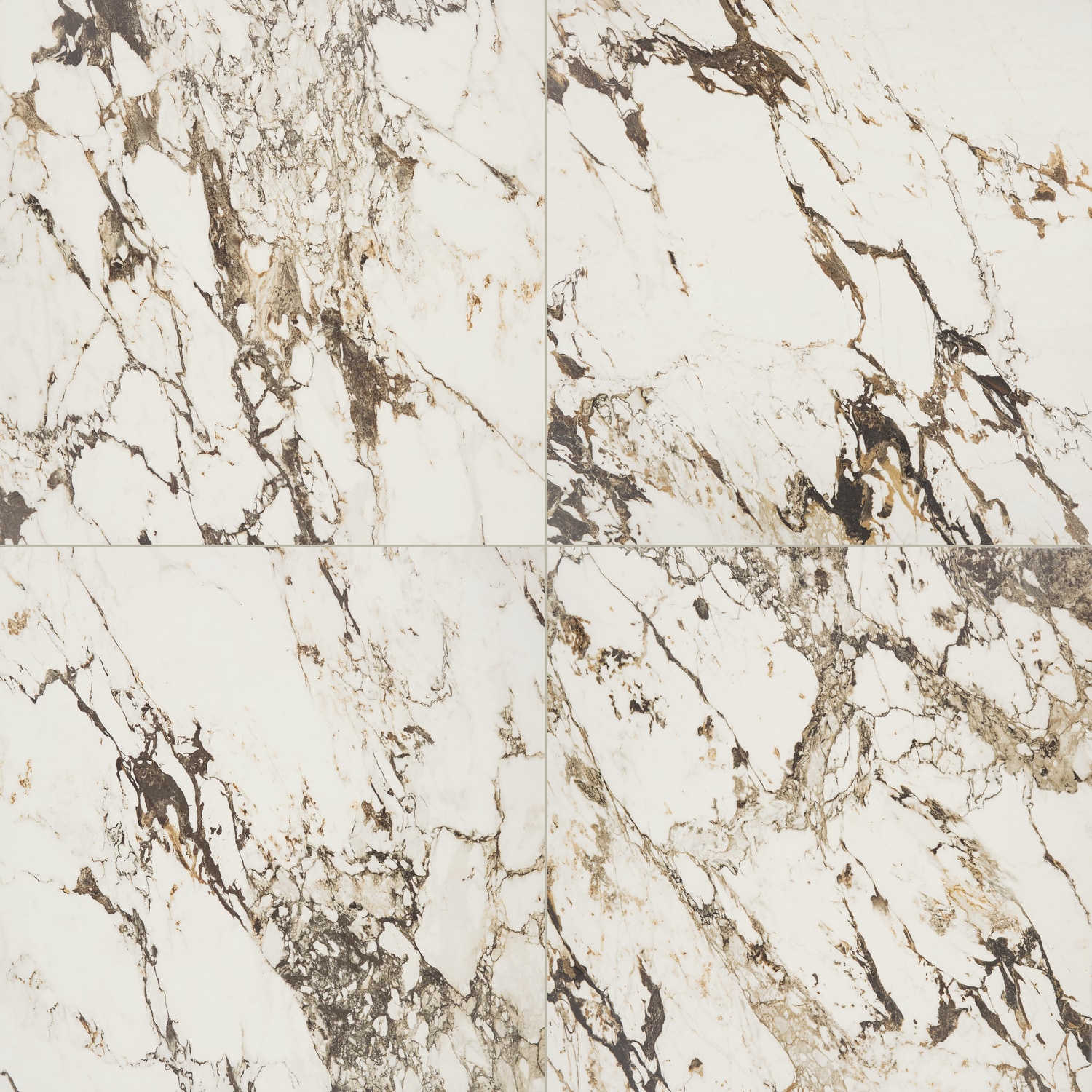 Daltile Panoramic Duet Calacatta Aries 48-in x 48-in Polished Porcelain Marble look Floor and Wall Tile ( 15.44-sq ft / Piece )