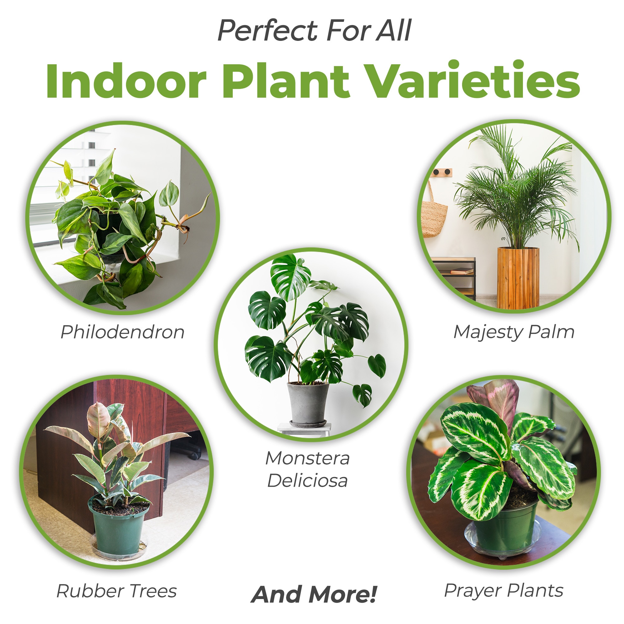 Perfect Plants LOINDOORMIX8QT Garden-Soil-Soil-Amendments - View #2