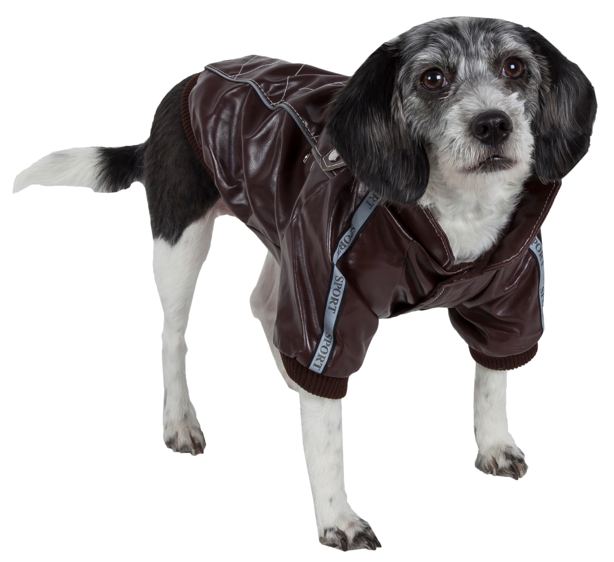 Pet Life 28BKMD Dog-Apparel - View #2
