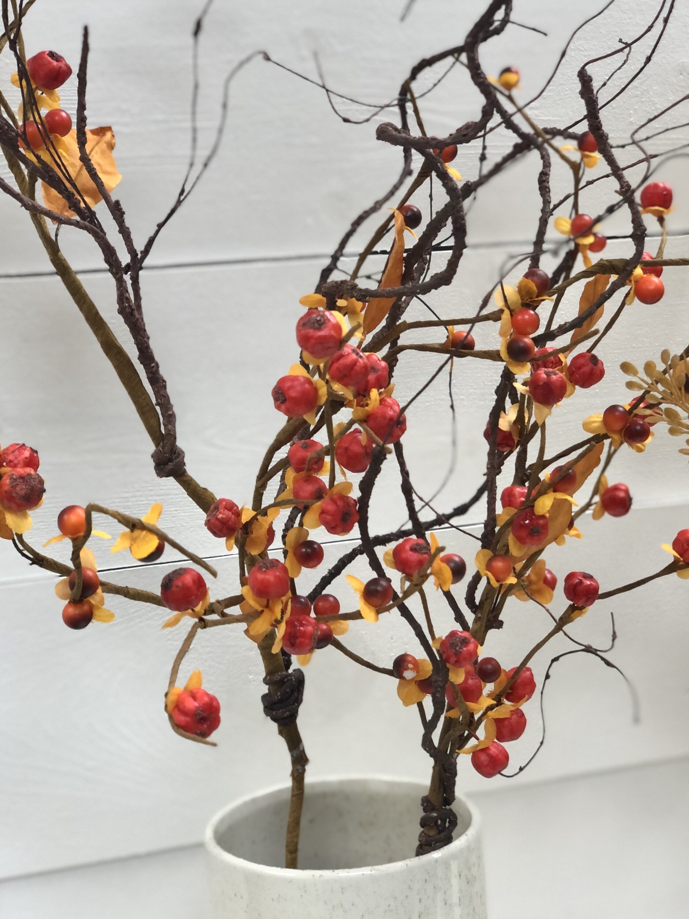 Sullivans BTTSWSP Indoor-Thanksgiving-Decor - View #3