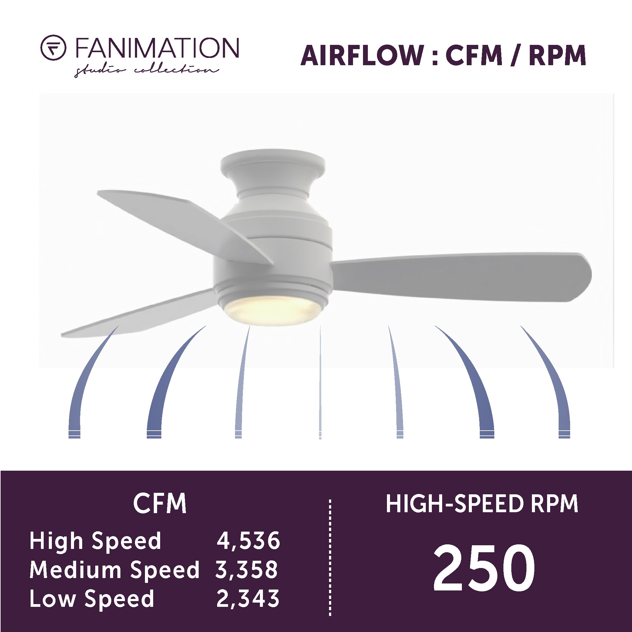 Fanimation Studio Collection LP8347BLMW Ceiling-Fans - View #13