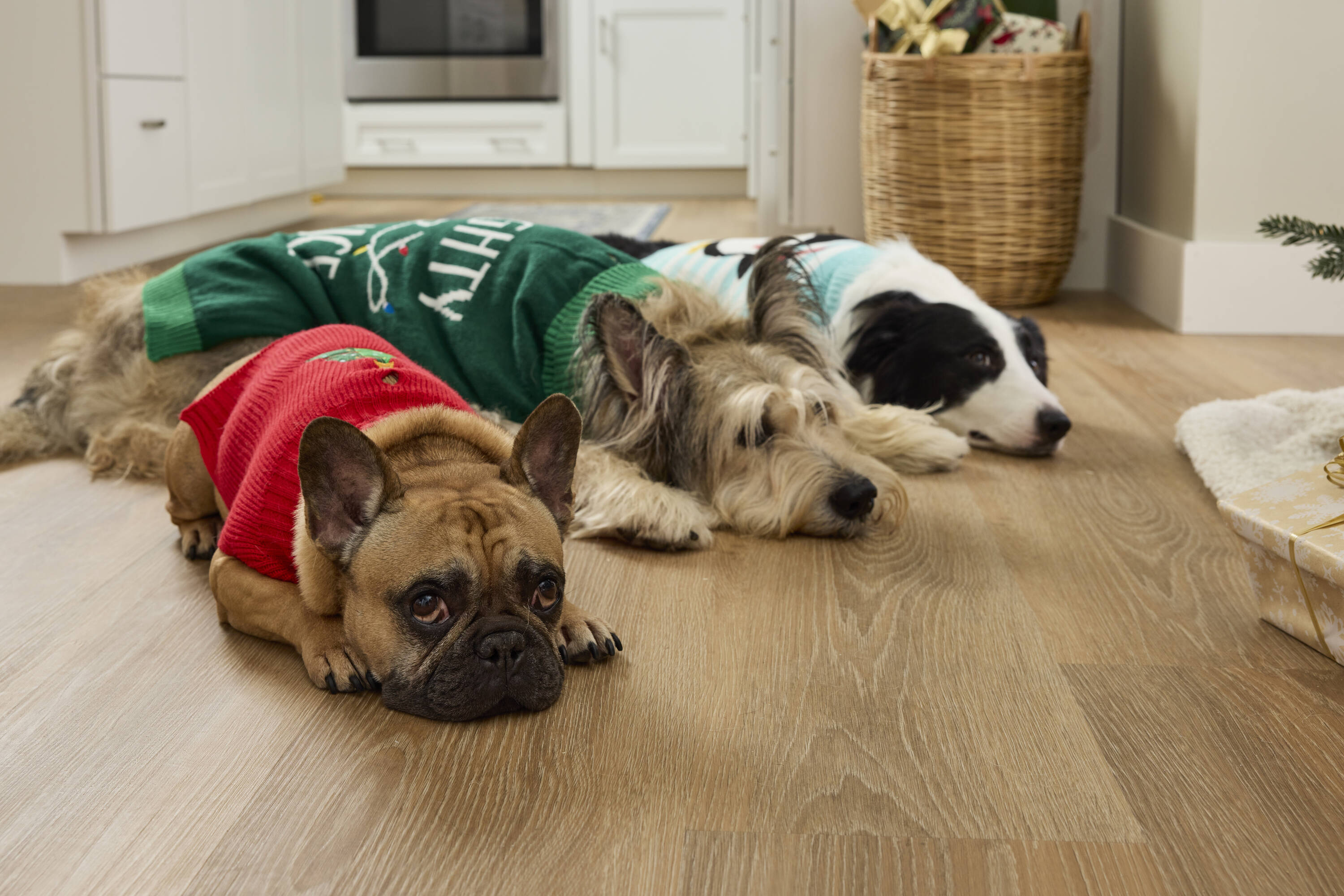 Heart & Herd YS0418-M Dog-Apparel - View #2