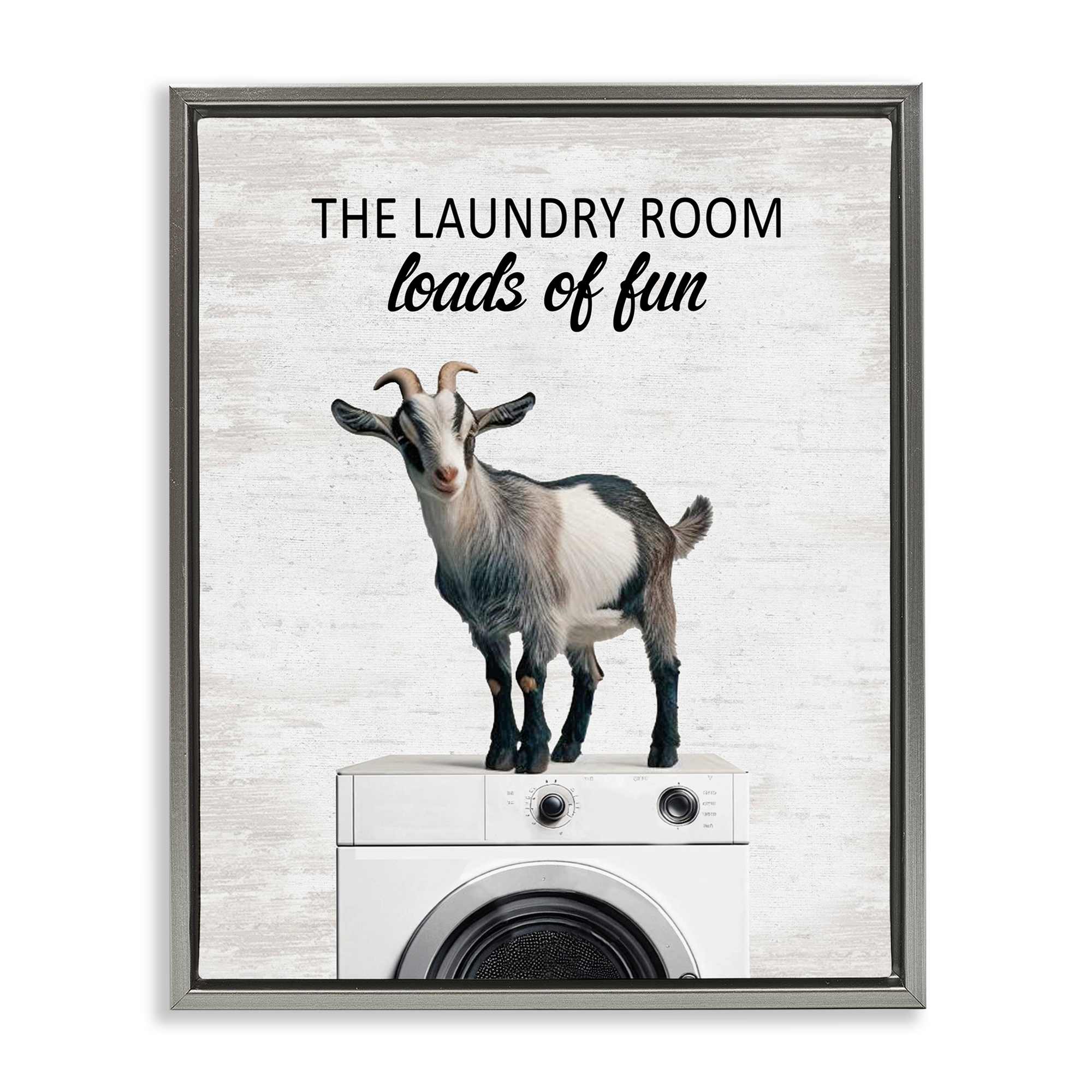 Stupell Industries BS-867-FFL-24X30 Loads of Fun Laundry Goat Gray Framed Floater Canvas Wall Art By Lettered and Lined 25 x 31