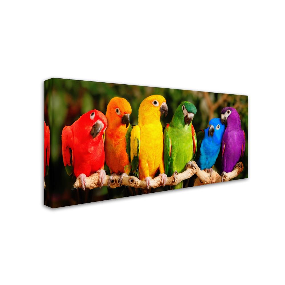 Trademark Fine Art ALI17786-C1224GG Wall-Art - View #3