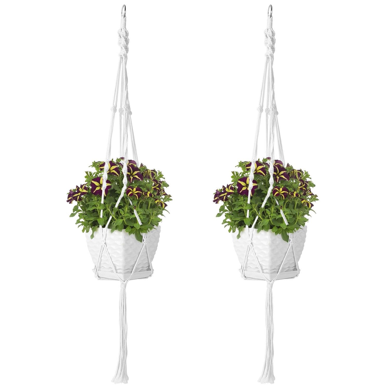 AHIOU HOME ZAAHD-HAWM2VPP Planter-Window-Box - View #6