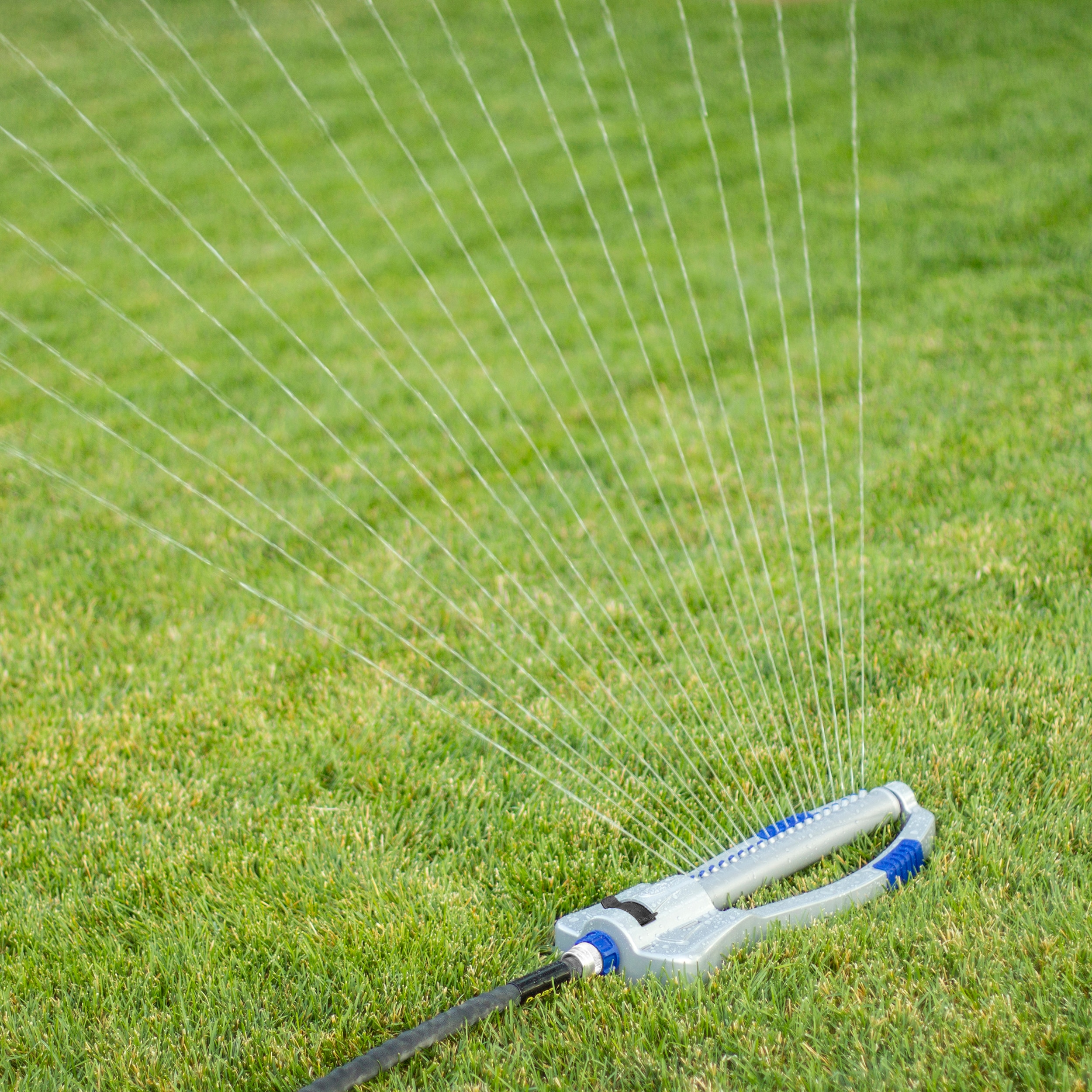 Orbit Orbit Max 4000-sq ft Oscillating Sled Lawn Sprinkler in the Lawn ...