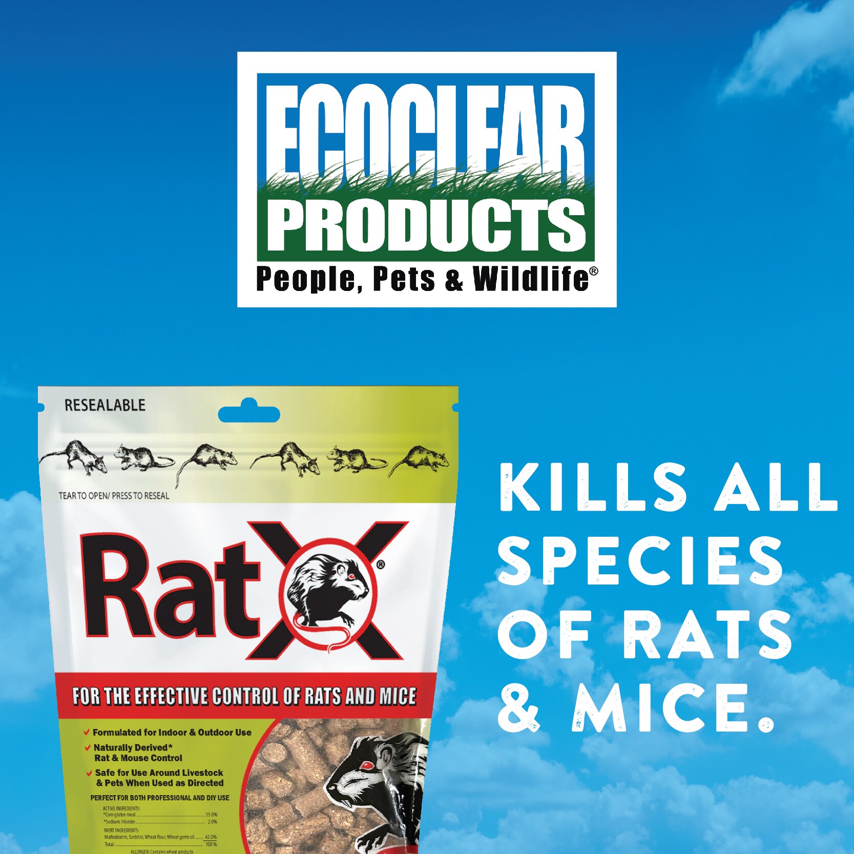 RatX 620101 Animal-Rodent-Control - View #13