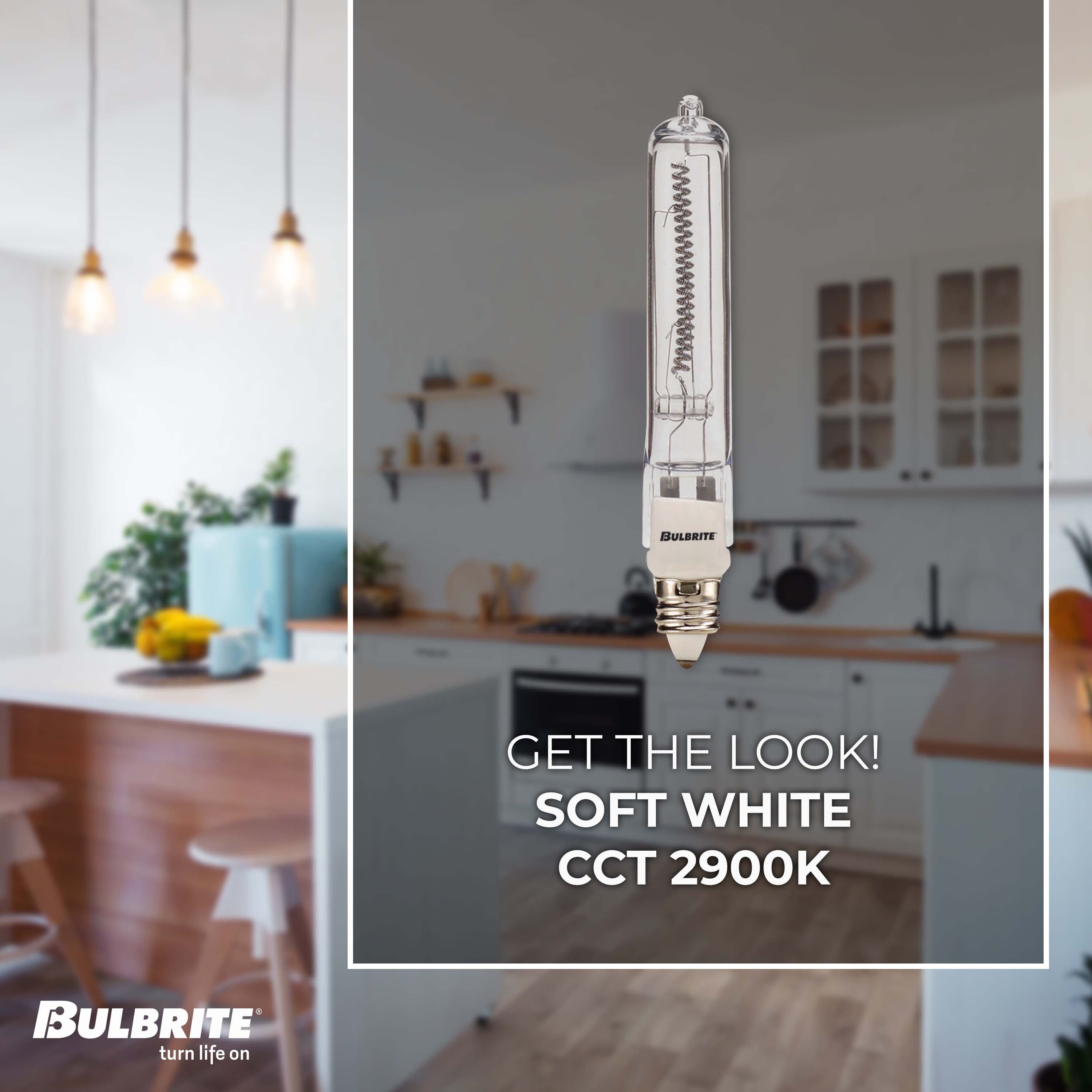 Bulbrite 860806 Specialty-Light-Bulbs - View #3