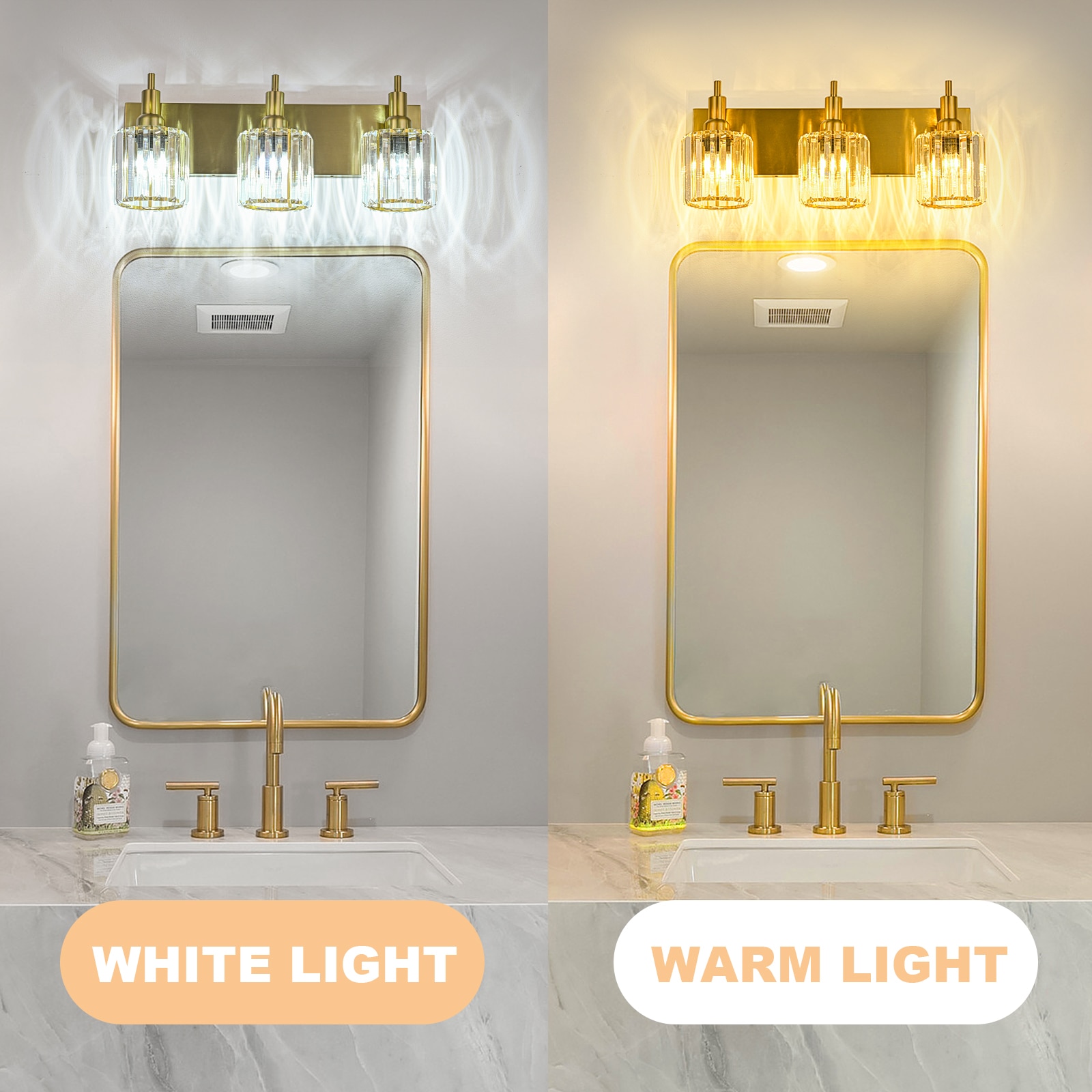 EDISLIVE Y81010000062978 b089995 - View #5