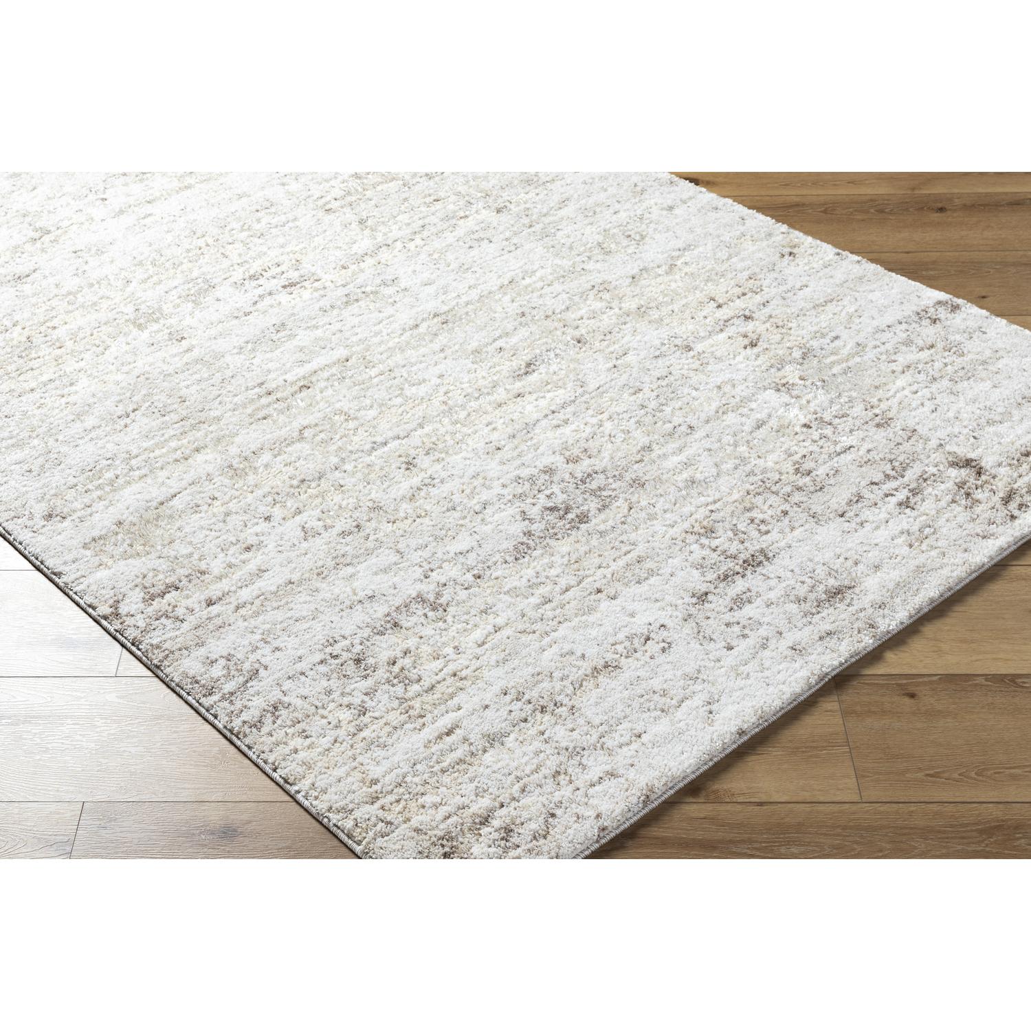 Livabliss ARP2305-2211 rugs - View #4