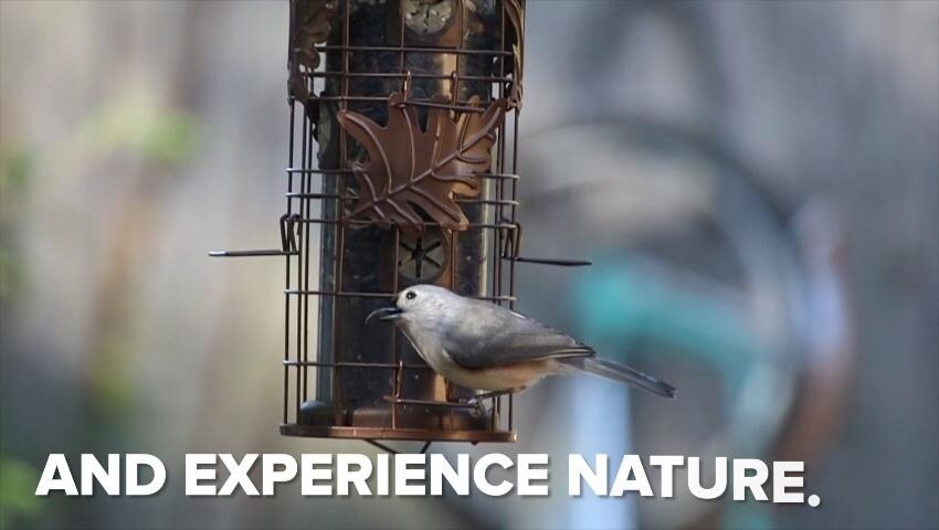 A thumbnail for the video