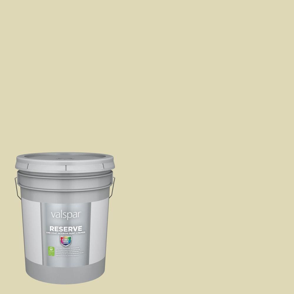 Valspar 6006-5A-2916584 Reserve Flat Tempered Sage 6006-5A Latex Interior Paint Paint + Primer ( 5-gallon )