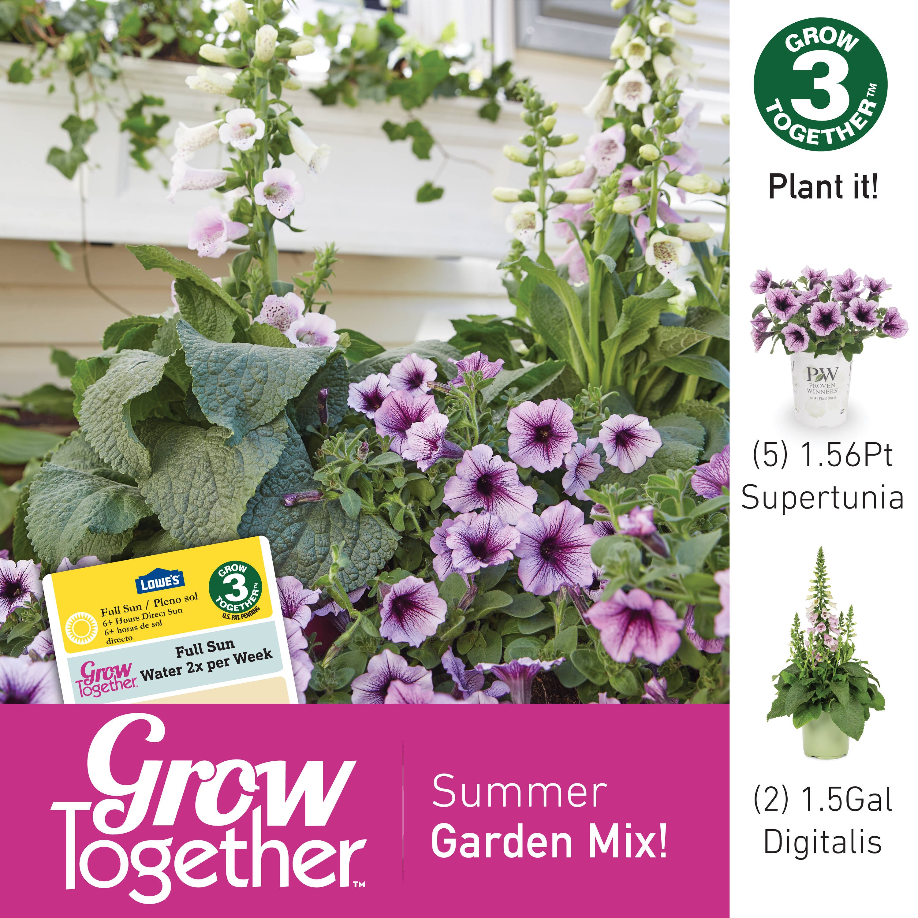 Lowe's NURSERY annuals - View #11