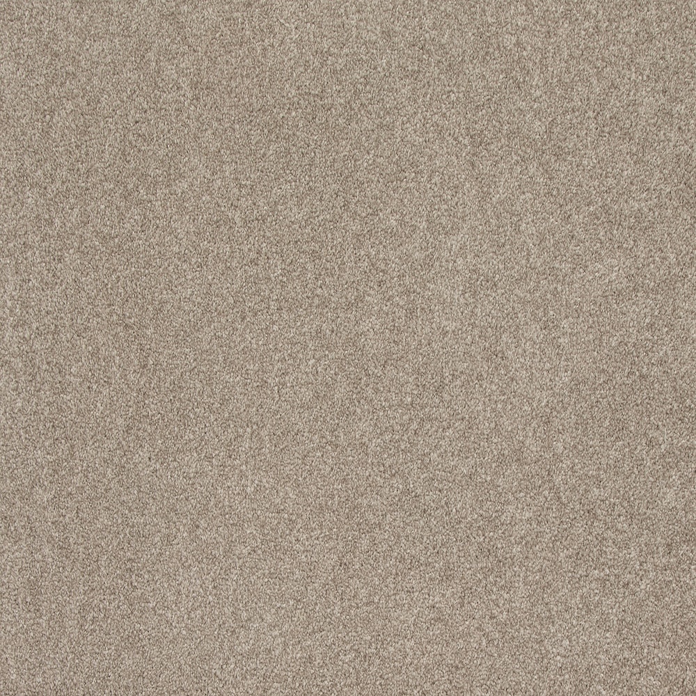STAINMASTER SS030-12-L002 Express Install Rarefied Air II Pristine Tan 48-oz sq yard Solution-dyed polyester Textured Indoor Carpet