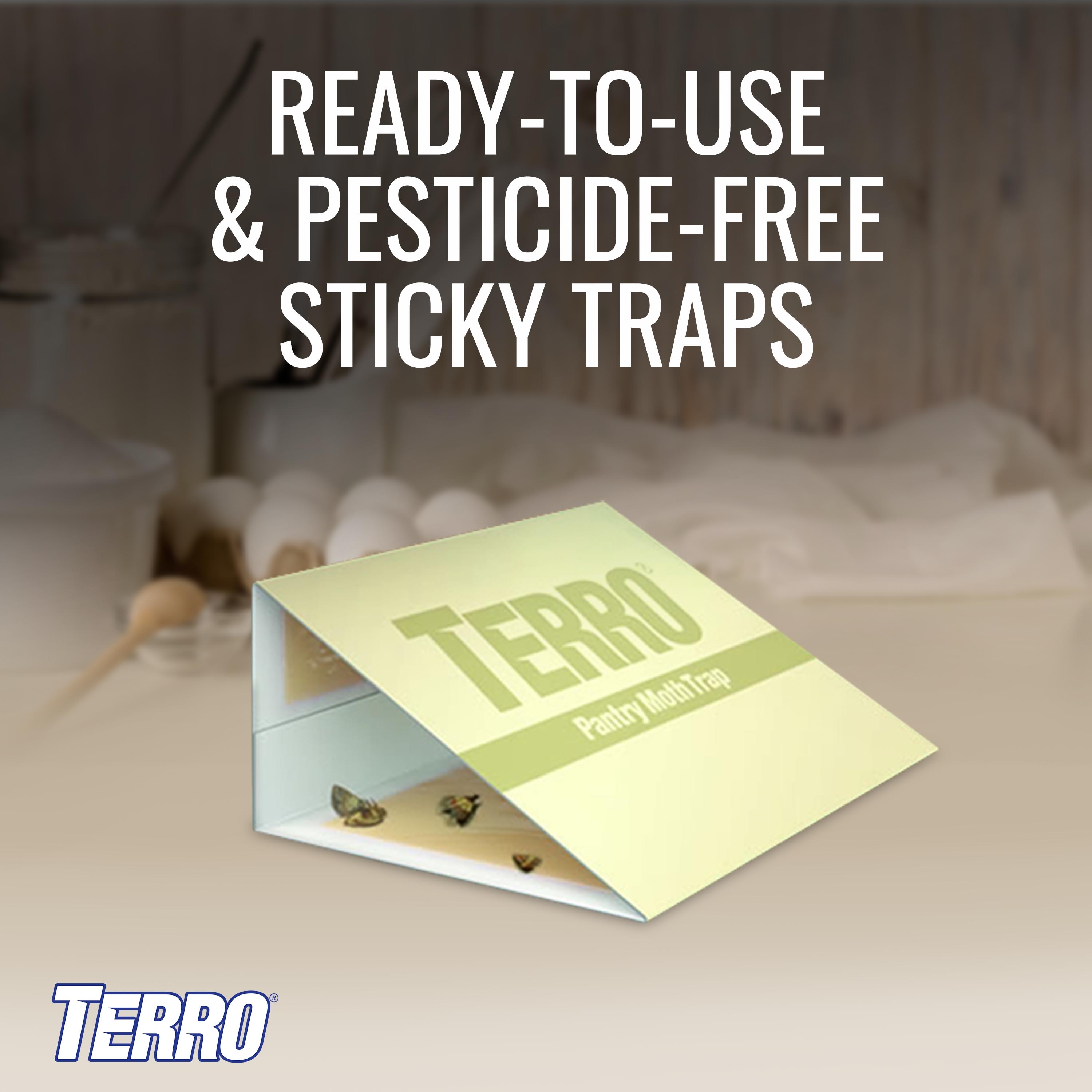 TERRO Pantry Moth Indoor Insect Trap (2-Pack) in the Insect Traps  department at