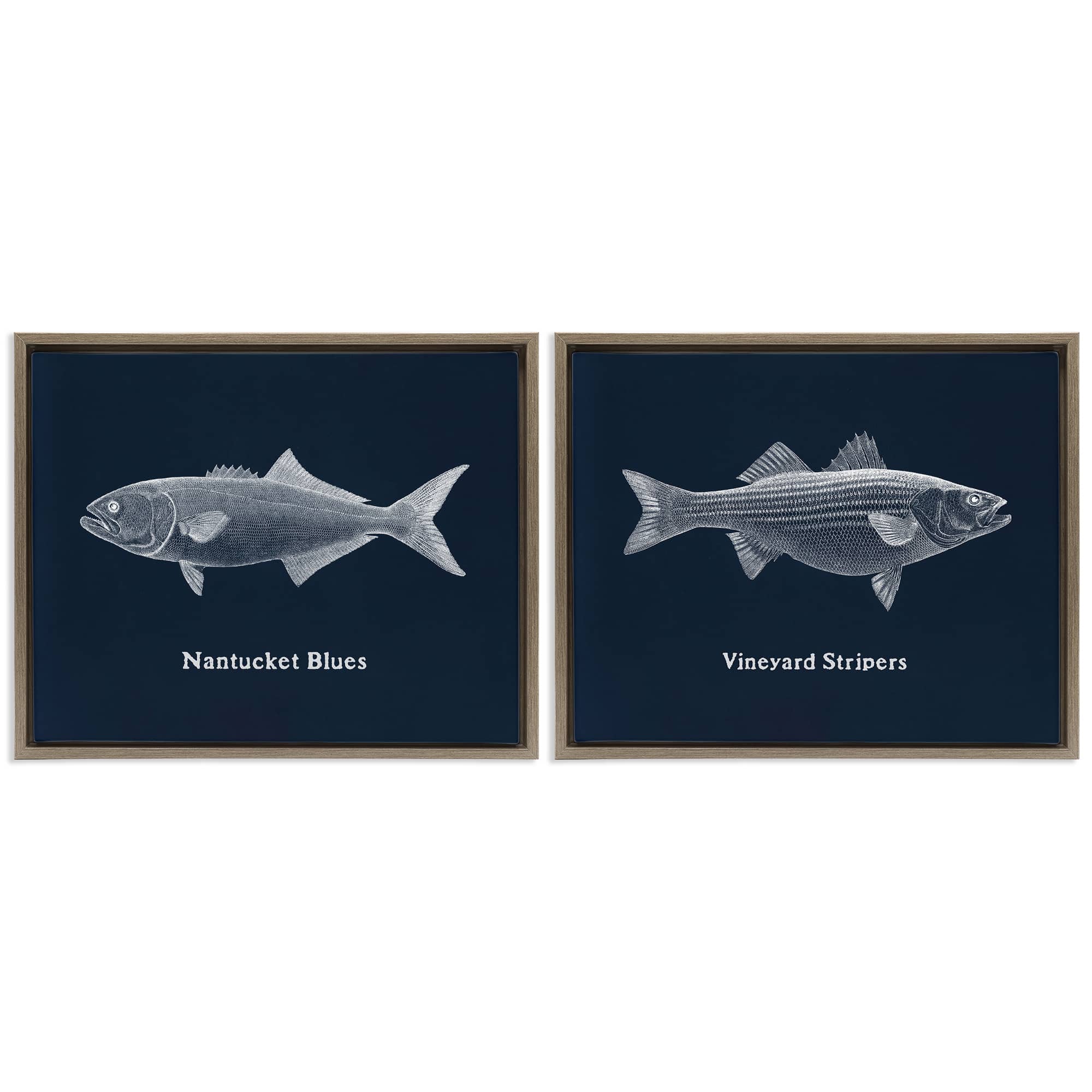 Stupell Industries B2-818-FFE-2PC-24X30 Harbor Fish Phrases 2 Piece Brown Framed Floater Canvas Set By Phillipa Katz 31 x 25
