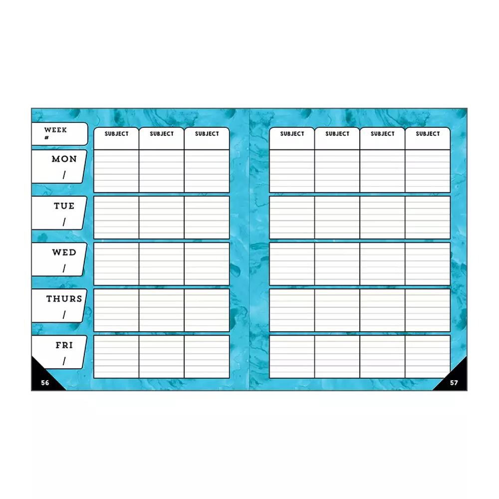 Carson Dellosa Education Celebrate Learning Teacher Planner Plan Book ...