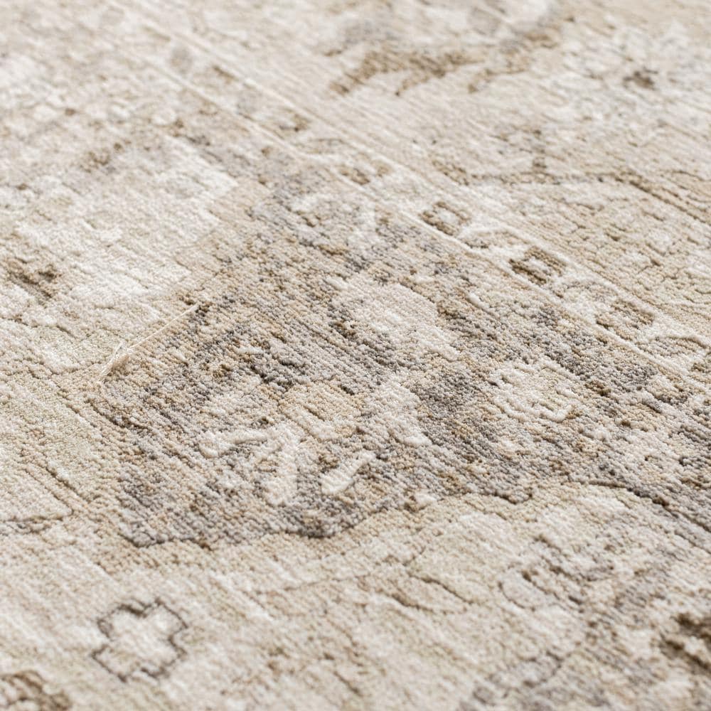 Dalyn CY3BG2X8 rugs - View #4