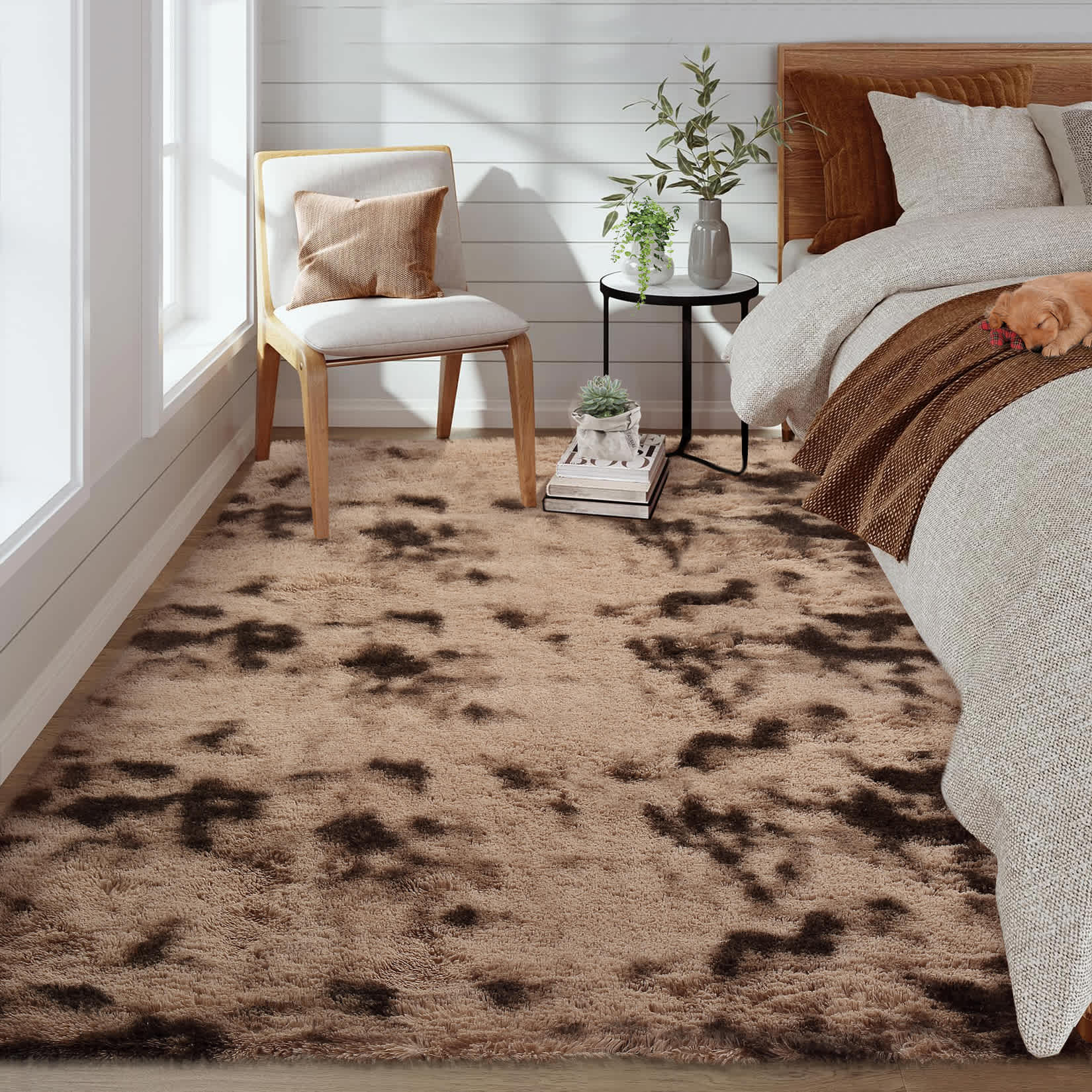 Qeetex SUNNY-PHO-0PW2BGLI rugs - View #4