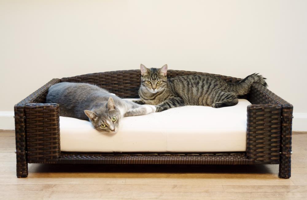 Iconic Pet Rattan Rectangular Pet Sofa, Small