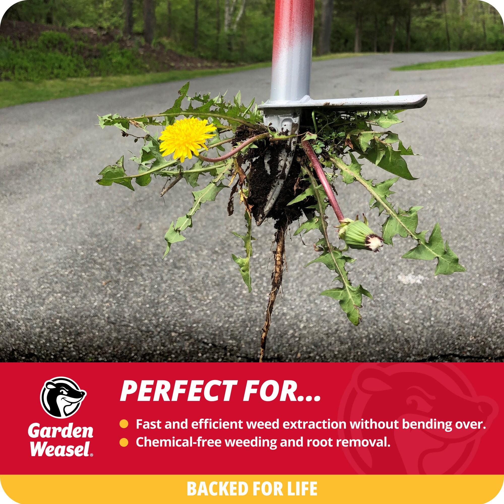 Garden Weasel Red Steel Precision Tip Weed Cutter