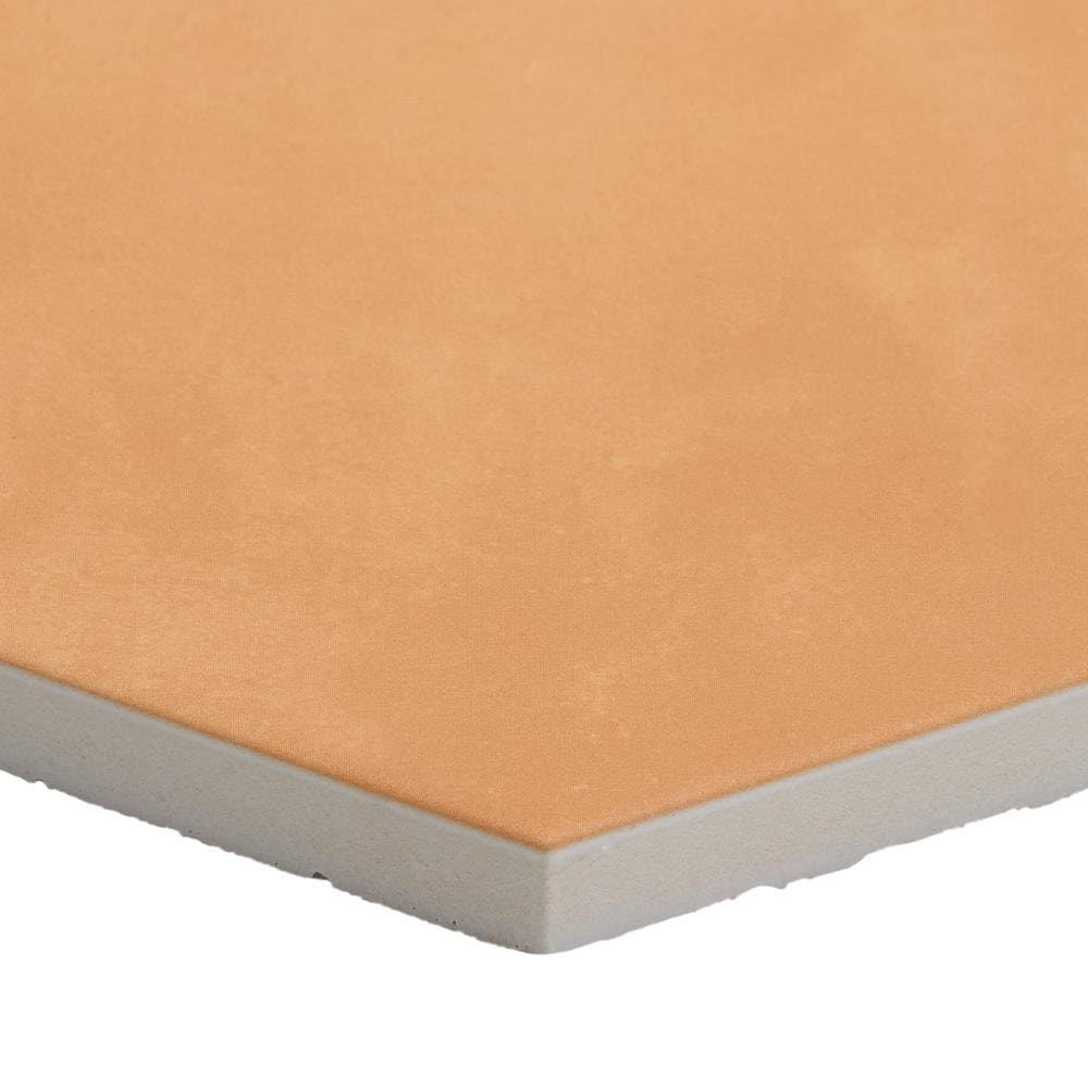 Artmore Tile EXT3RD106361 Tile-Samples - View #3