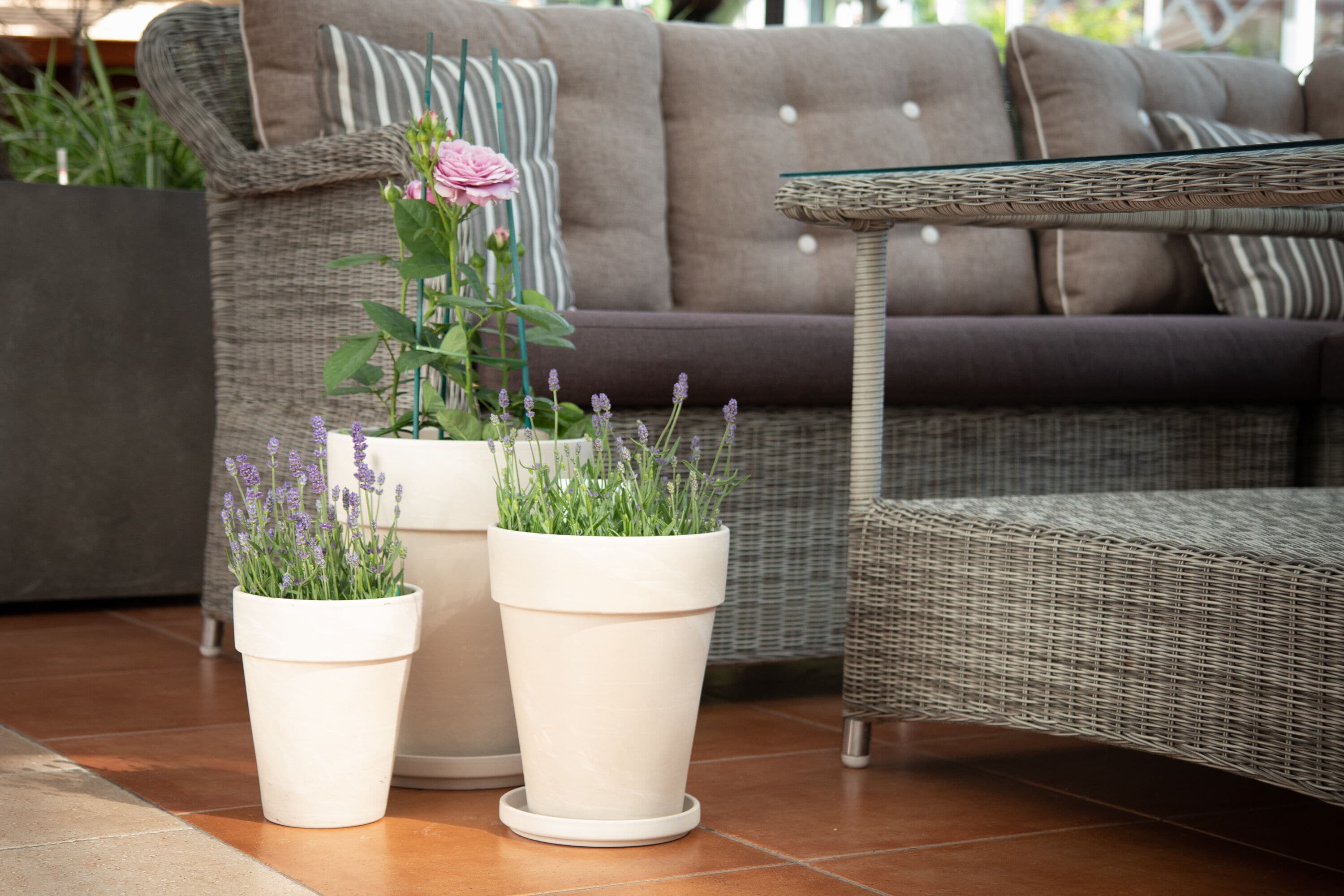 805554 Planter-Window-Box - View #6